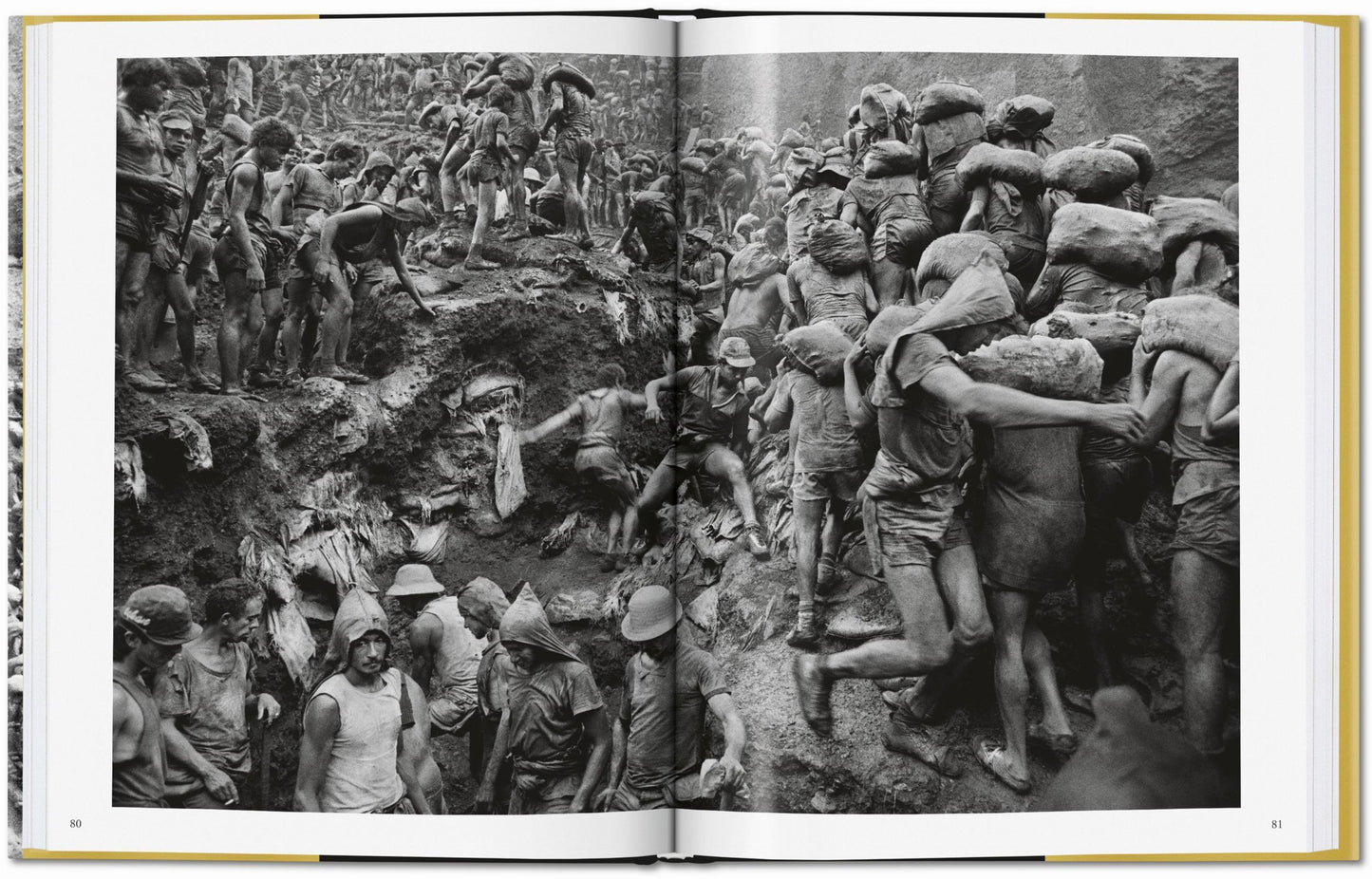 Sebastião Salgado. Gold (German, French, English)