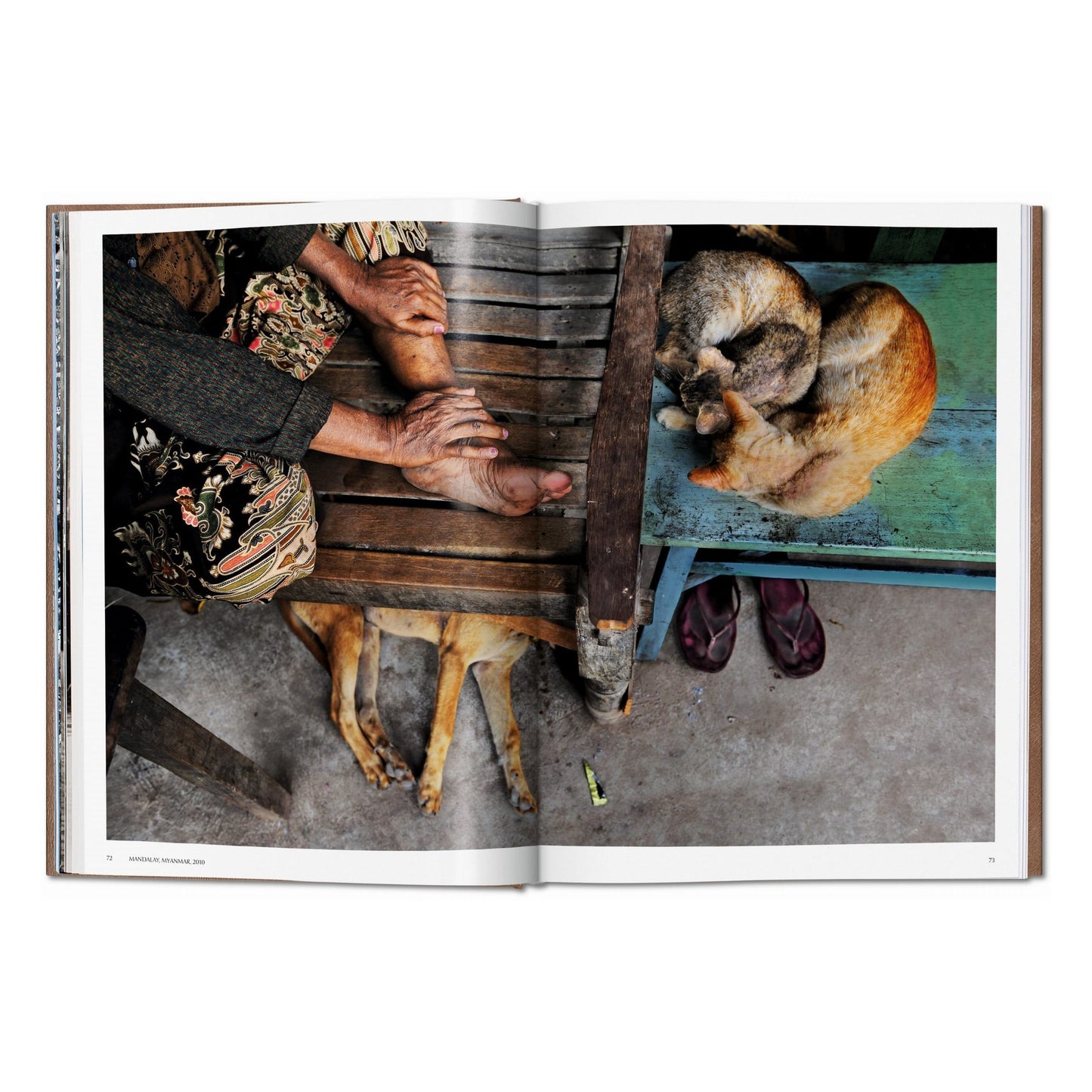 McCurry, Animals, Art B, Chennai (German, French, English) (AP)