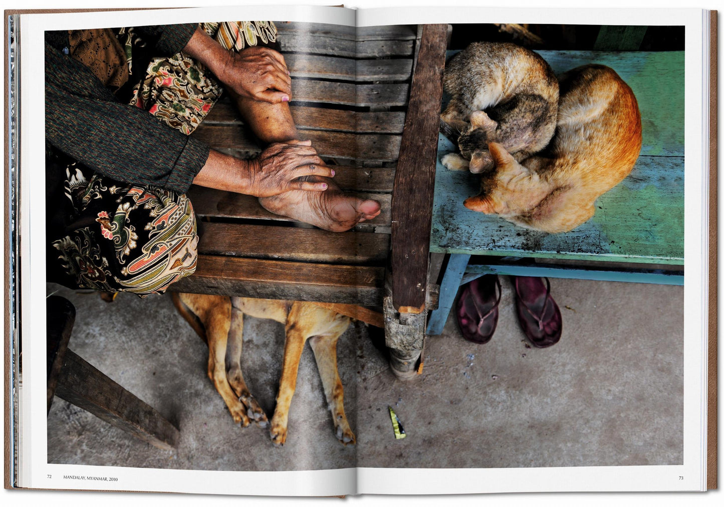 Steve McCurry. Animals. Art Edition No. 101–200 ‘Chennai, India, 1996’ (German, French, English)