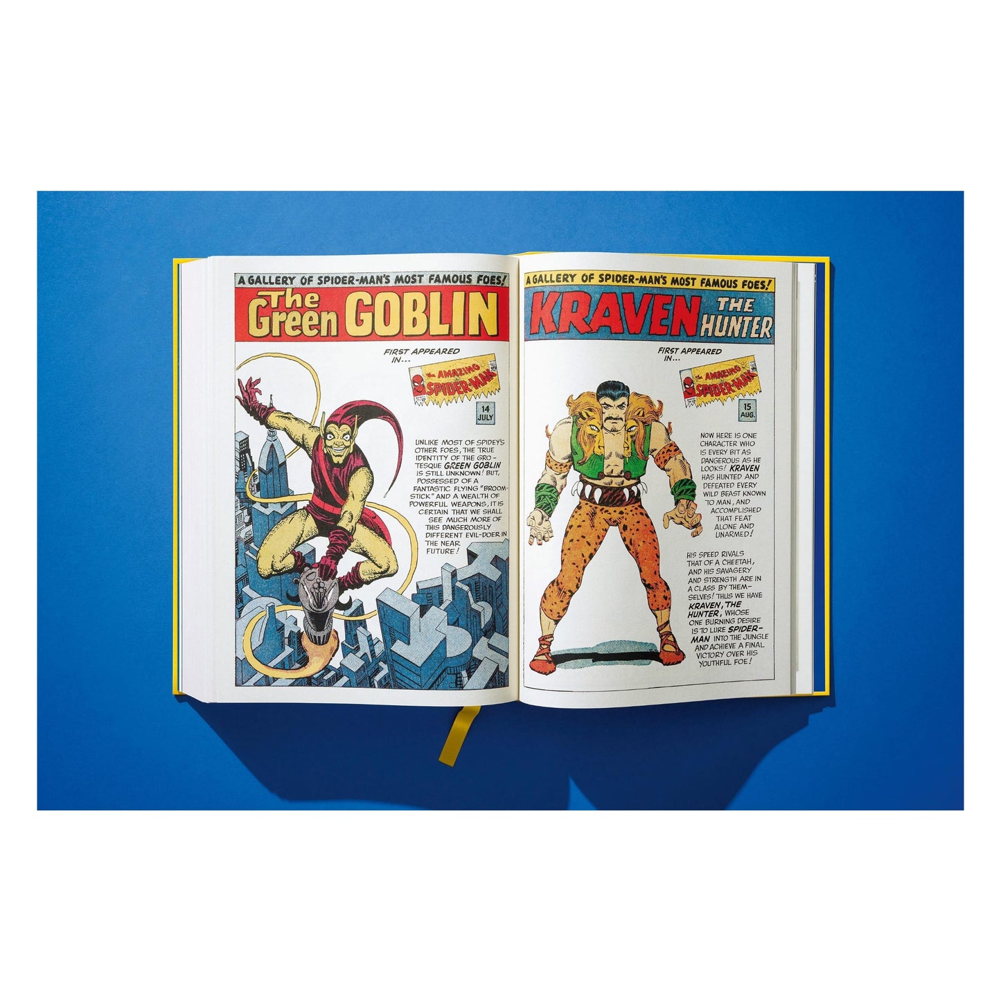 Marvel Comics Library, Spider-Man, Vol. 1, 1962-1964 (English) (AP)