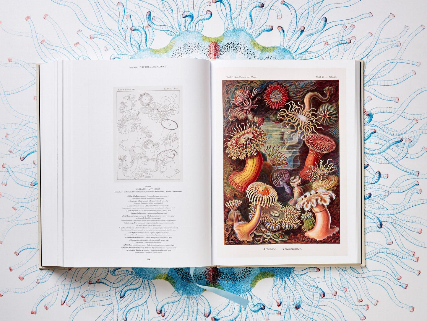 The Art and Science of Ernst Haeckel (German, French, English)