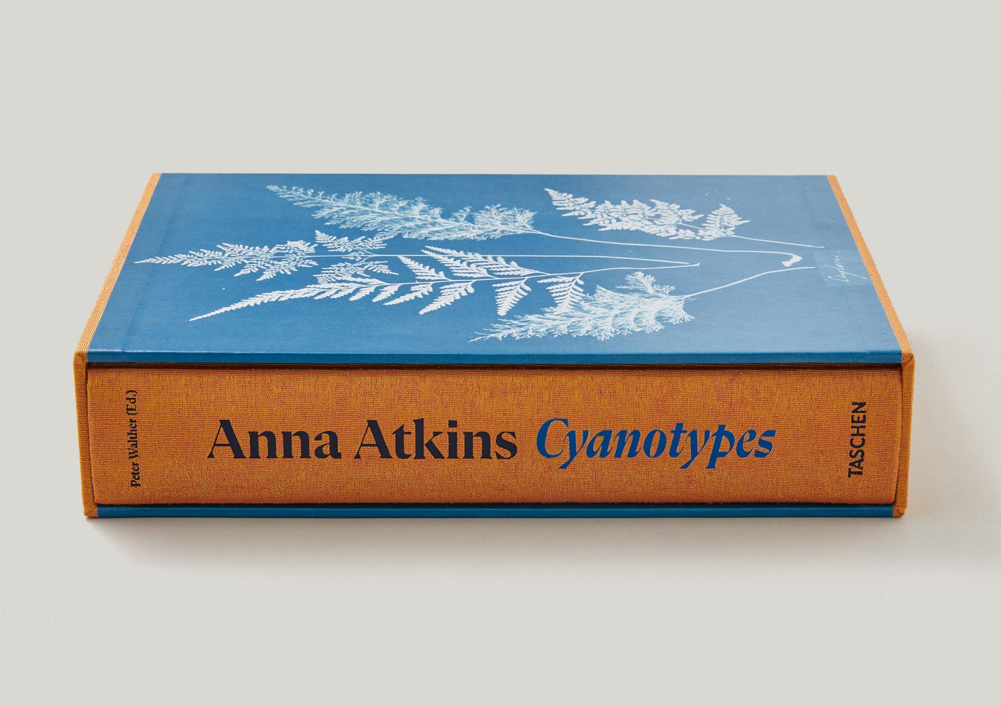 Anna Atkins. Cyanotypes (German, French, English)