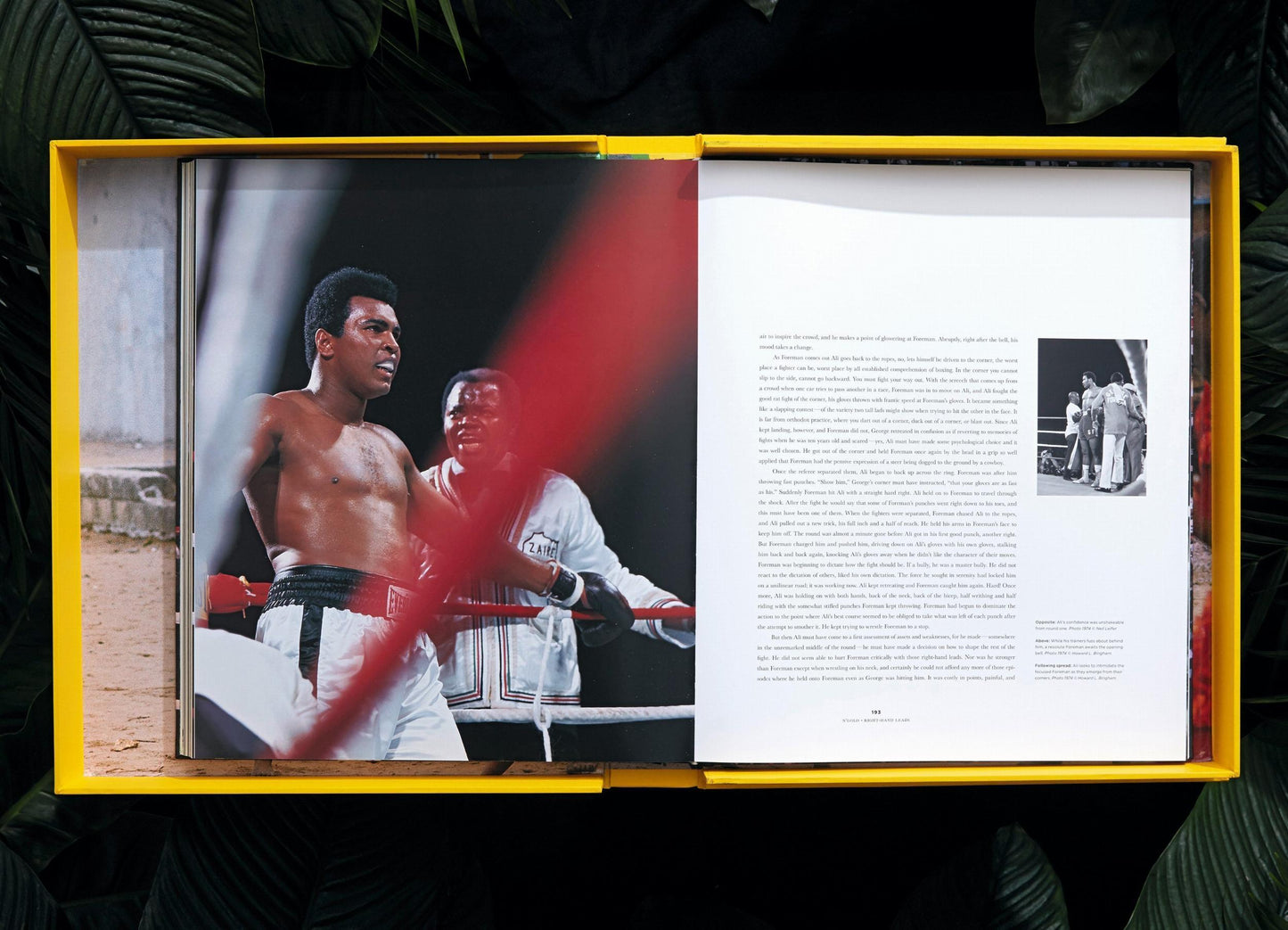 Norman Mailer. N.Leifer. H.Bingham. The Fight, Art Edition No. 126–250, Neil Leifer ‘Ali vs Foreman – Foreman Being Counted Out’ (English) (AP)