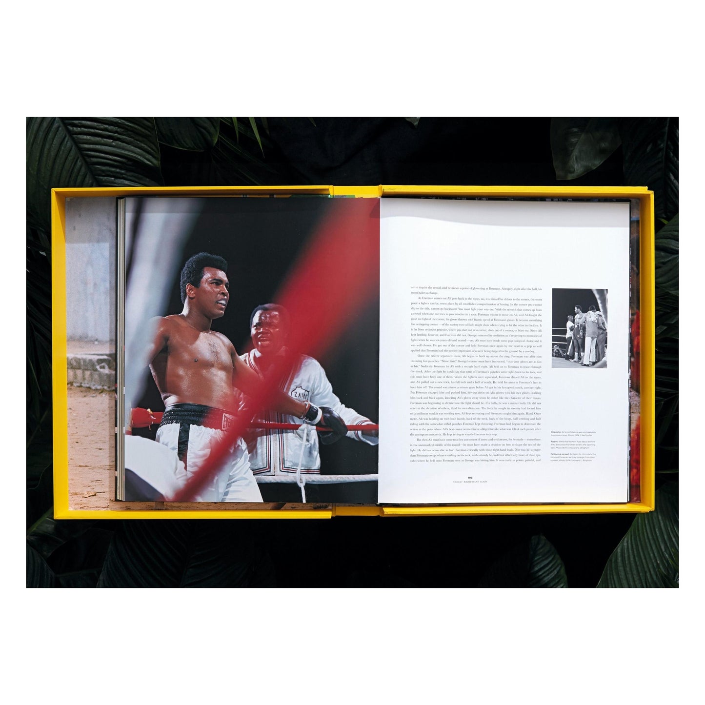Norman Mailer. Neil Leifer. Howard L. Bingham. The Fight (English)