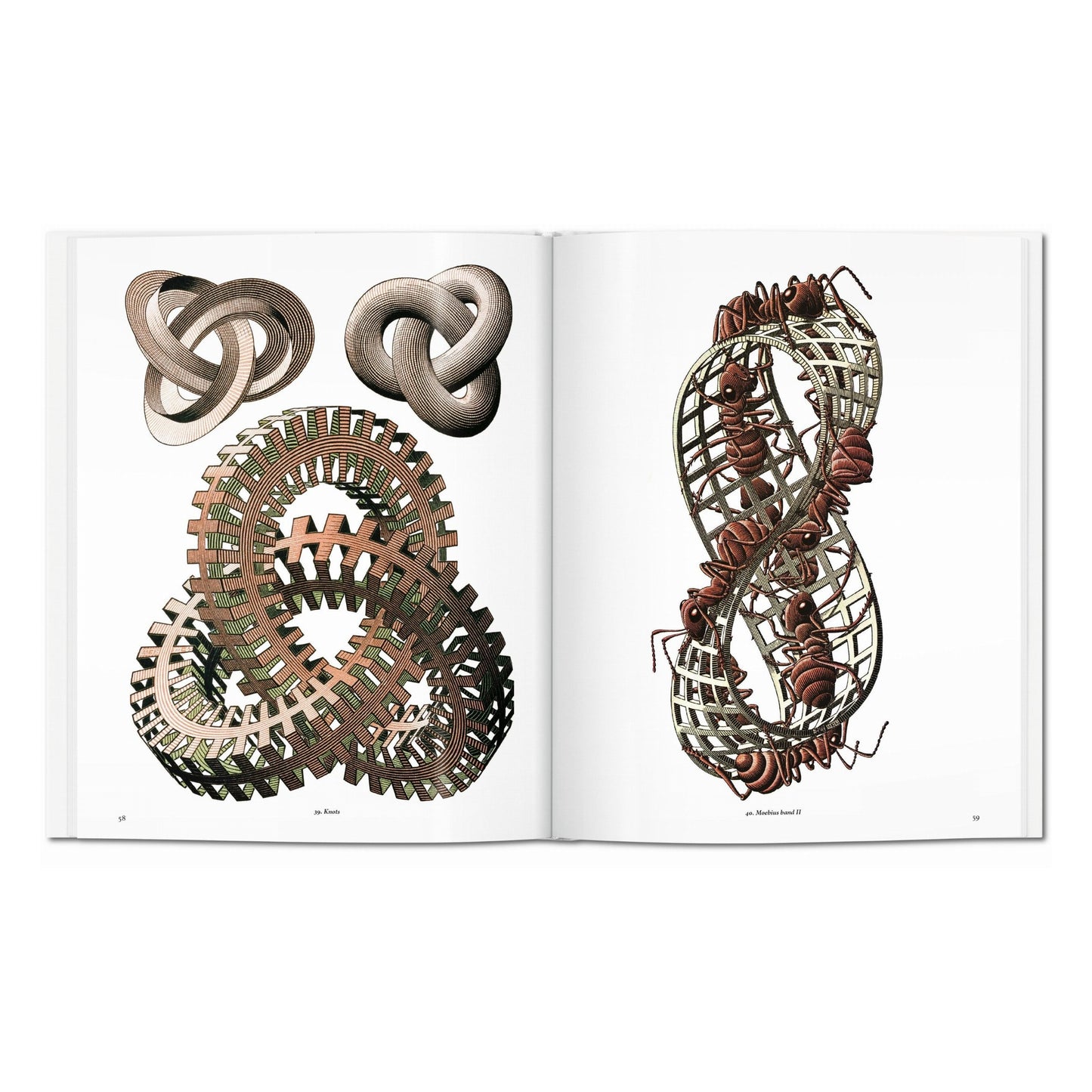 M.C. Escher. The Graphic Work (English)