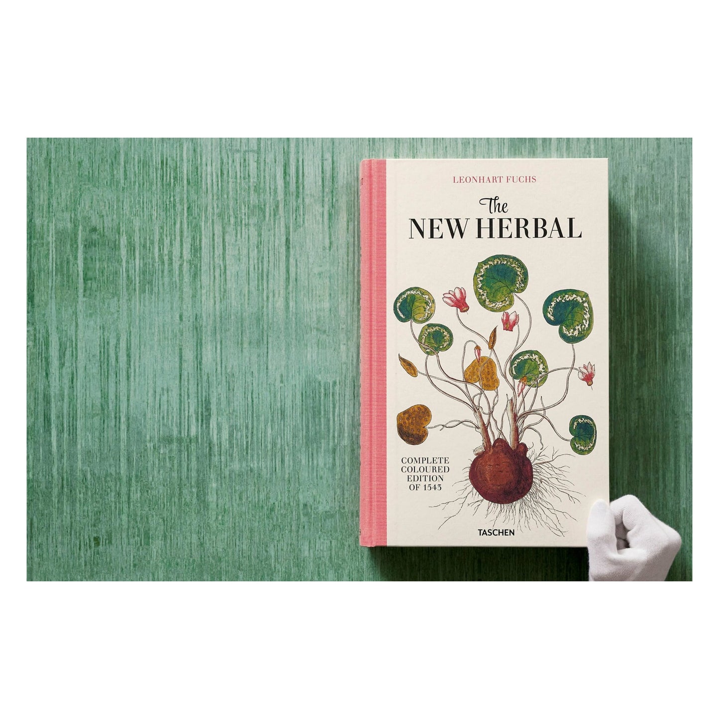 Leonhart Fuchs. The New Herbal (English)