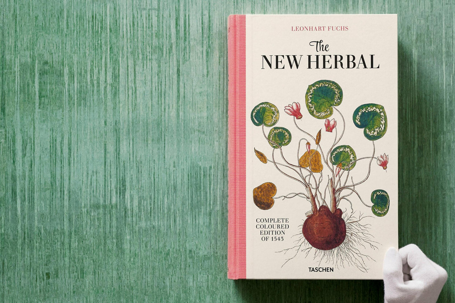 Leonhart Fuchs. The New Herbal (English)