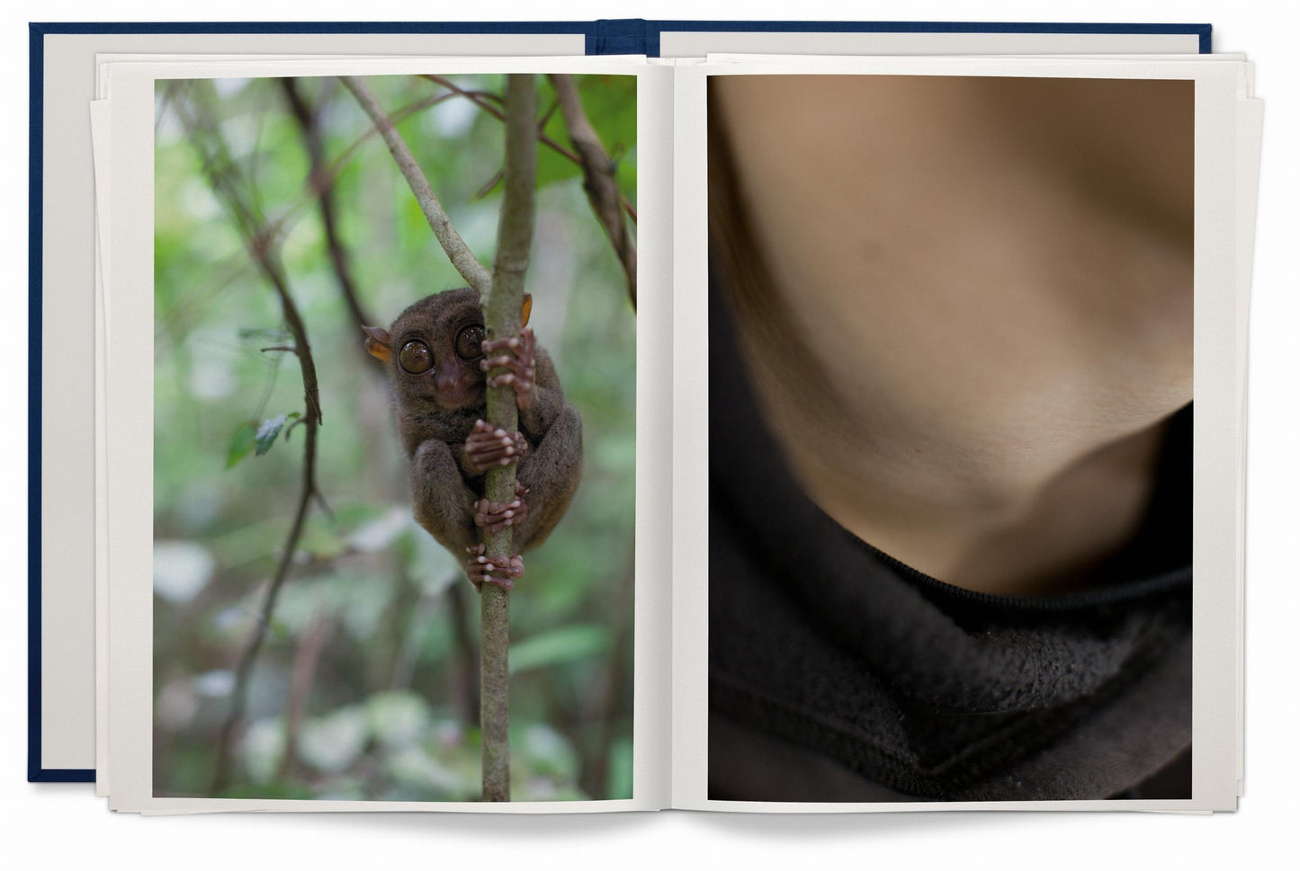 Wolfgang Tillmans. Neue Welt. Art Edition (German, French, English) (AP)