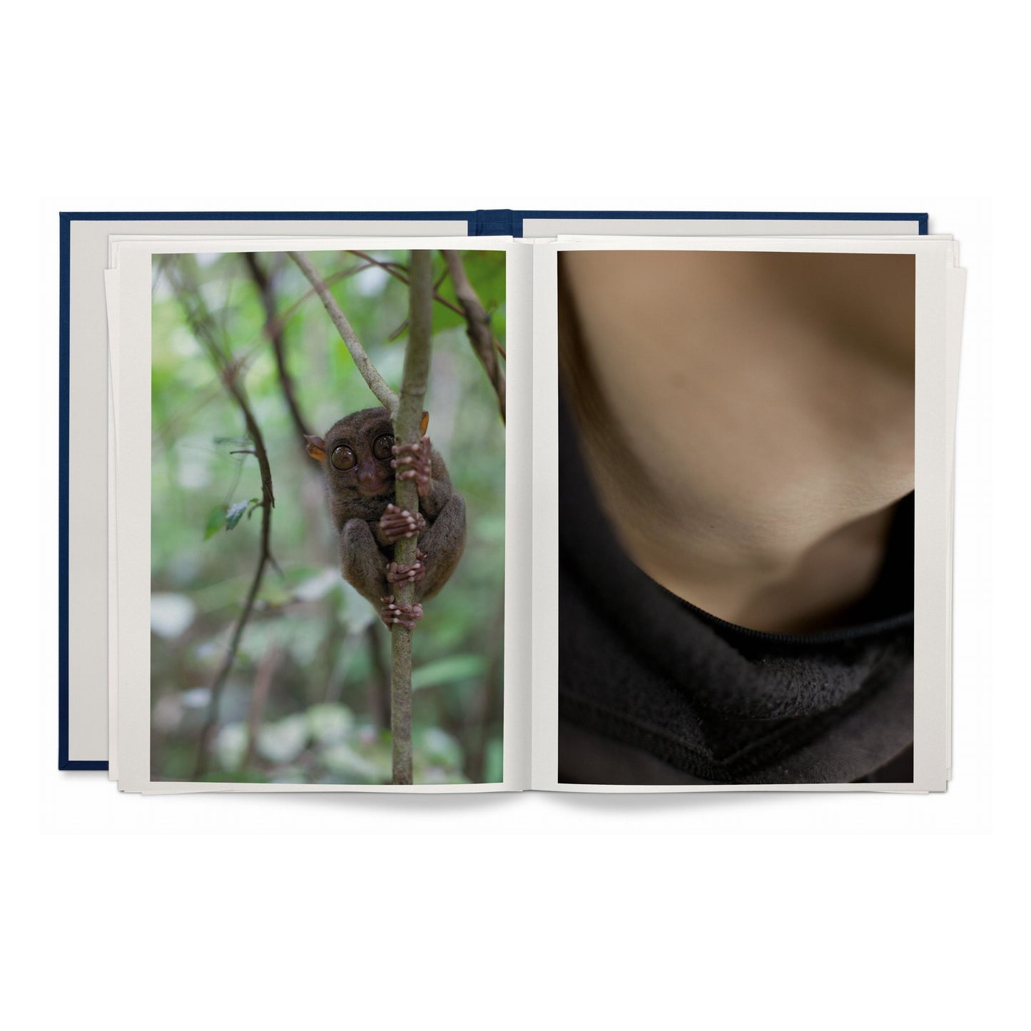 Wolfgang Tillmans. Neue Welt. Art Edition (German, French, English) (SA)