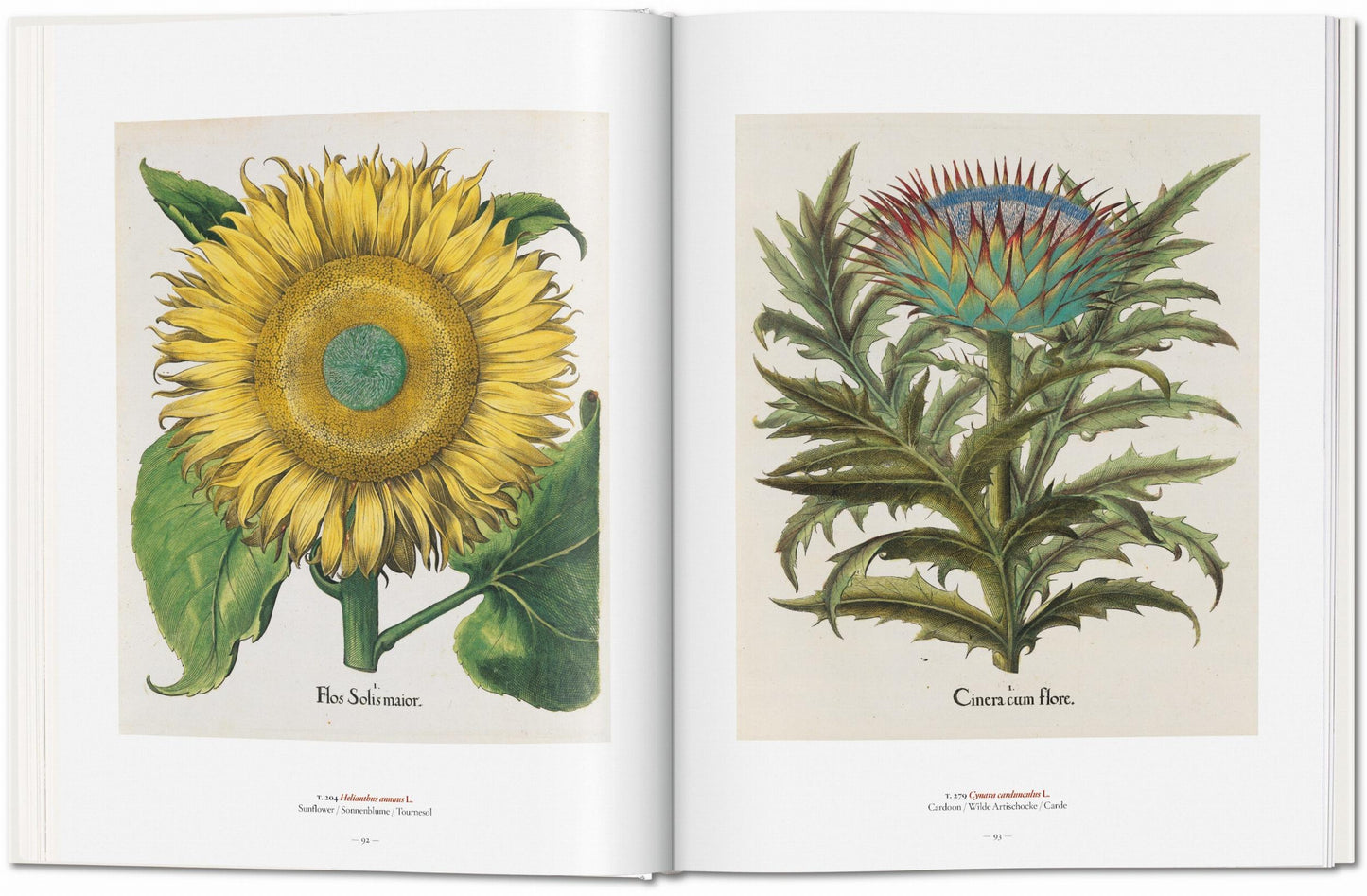 A Garden Eden. Masterpieces of Botanical Illustration (German, French, English)