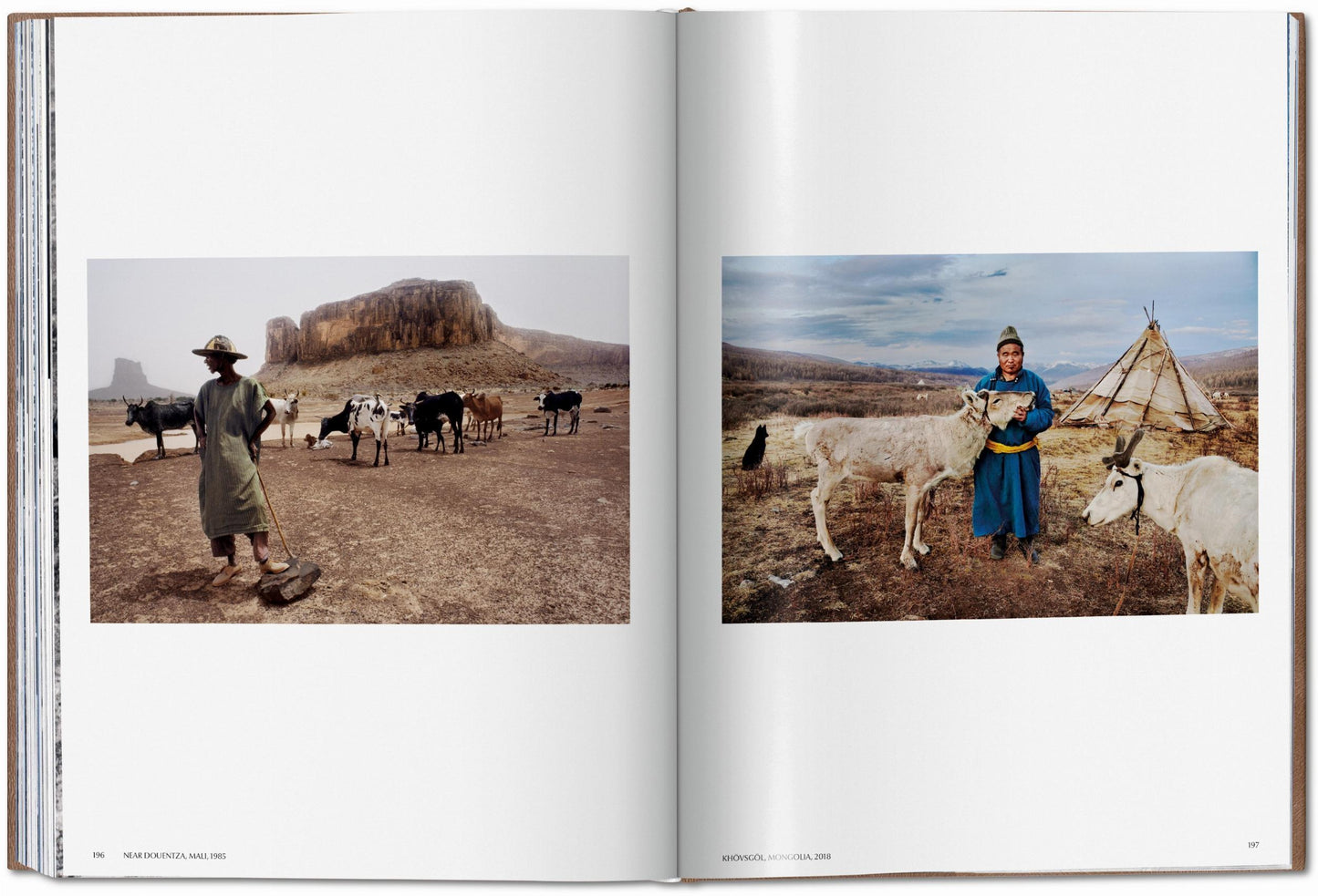 McCurry, Animals, Art A (German, French, English) (SA)