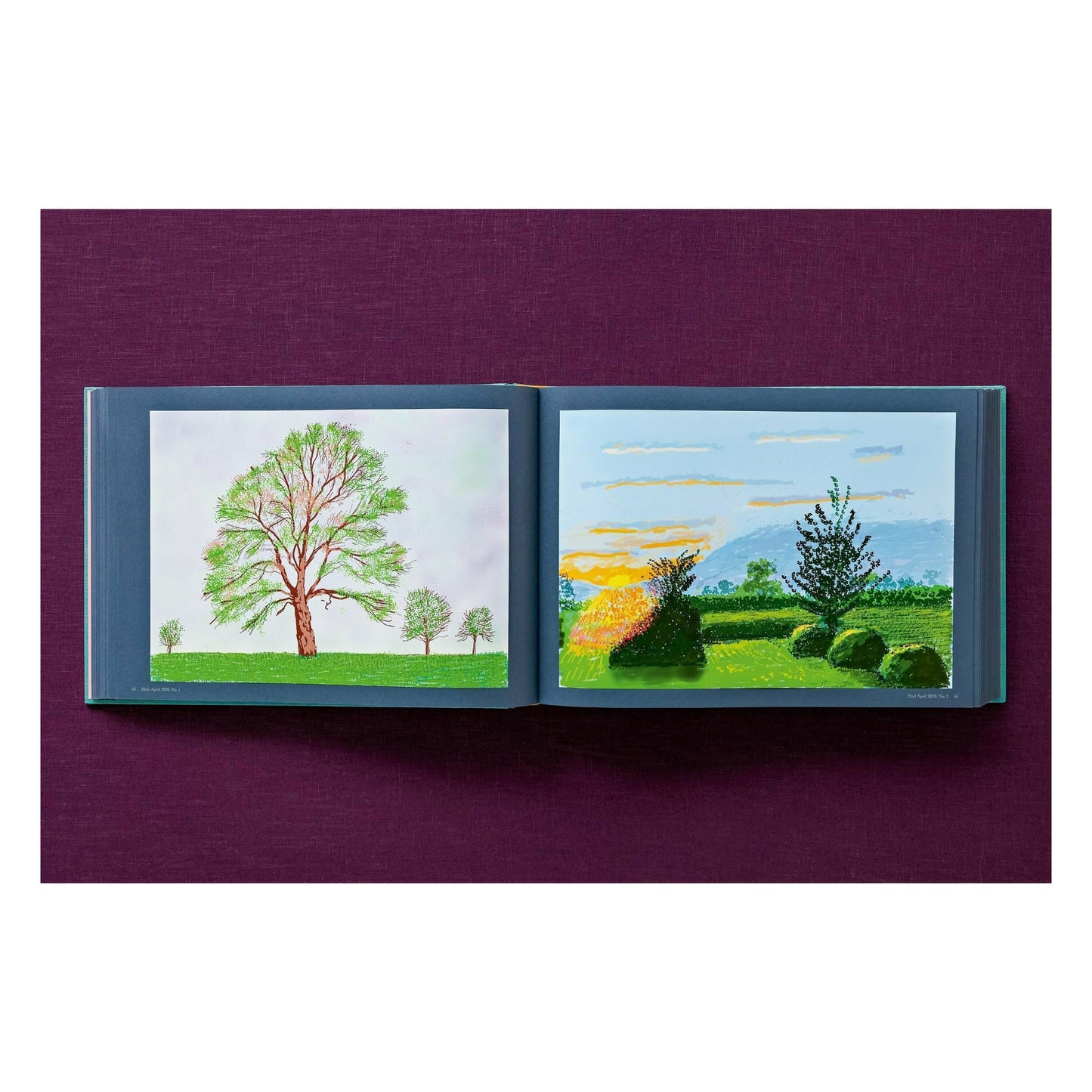 David Hockney. 220 for 2020. Art Edition No. 201–300 ‘Two Chairs and Rain on Window’ (English)
