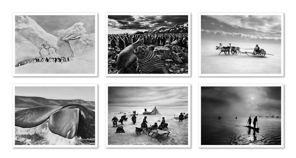 Sebastião Salgado. Genesis. Postcard Set (German, Spanish, French, English)