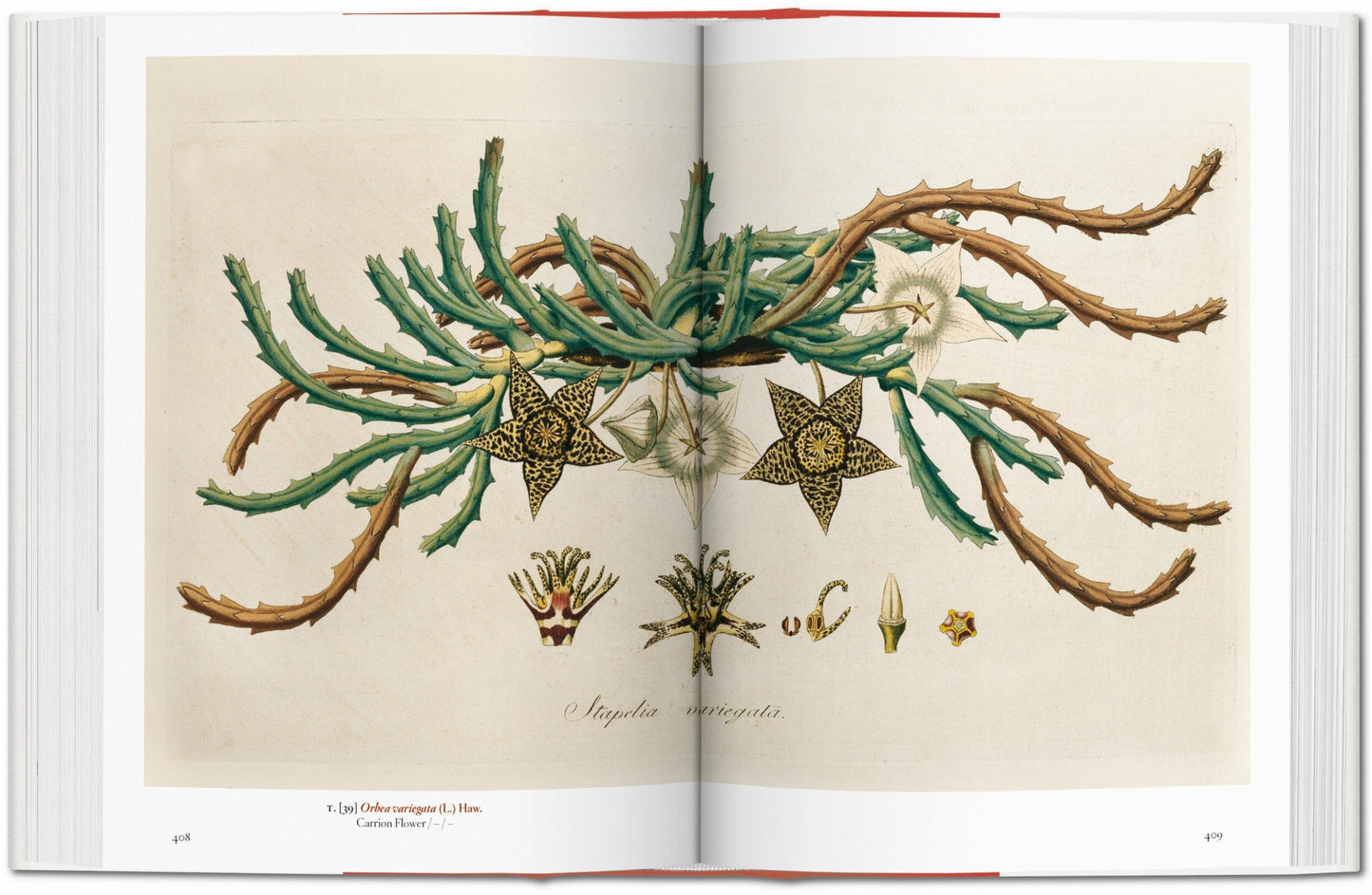 A Garden Eden. Masterpieces of Botanical Illustration. 40th Ed. (German, French, English)