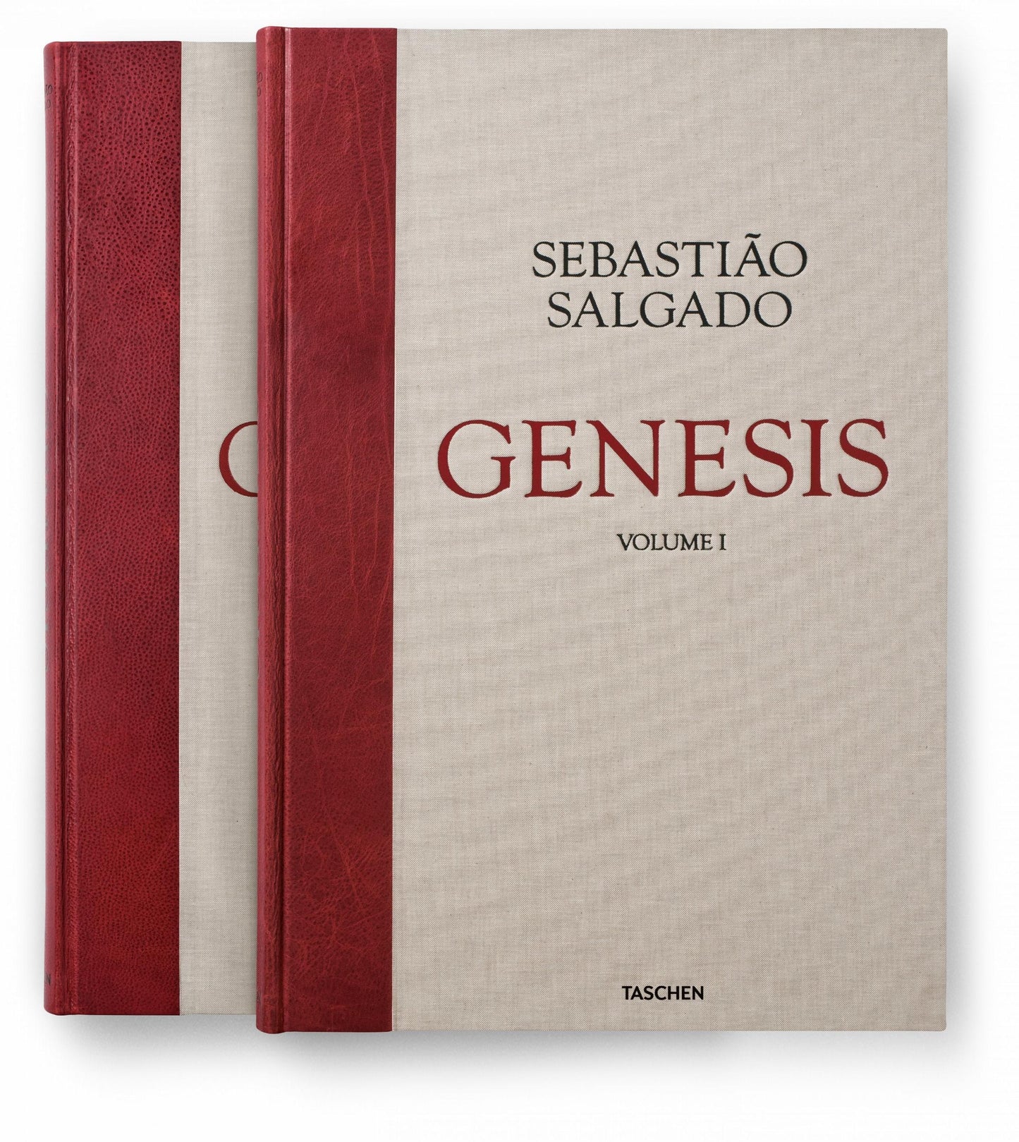 Sebastião Salgado. Genesis (English) (AP)