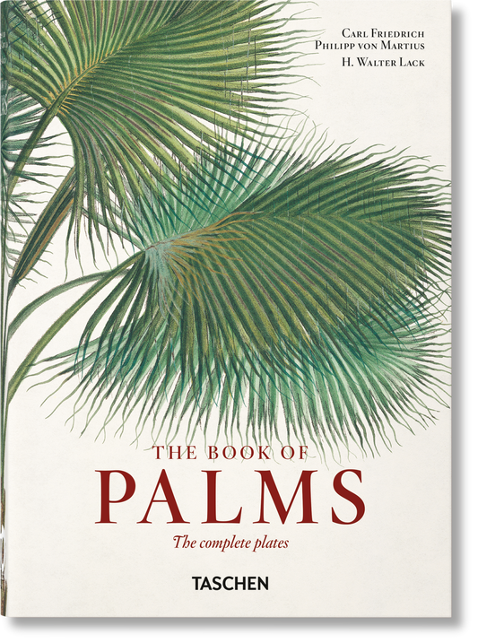 Martius. The Book of Palms. 45th Ed. (German, French, English)