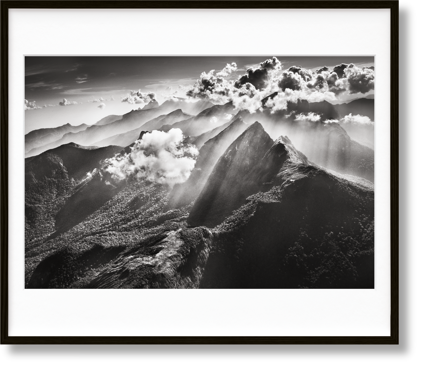 Sebastião Salgado. Amazônia. Art C (English) (AP)