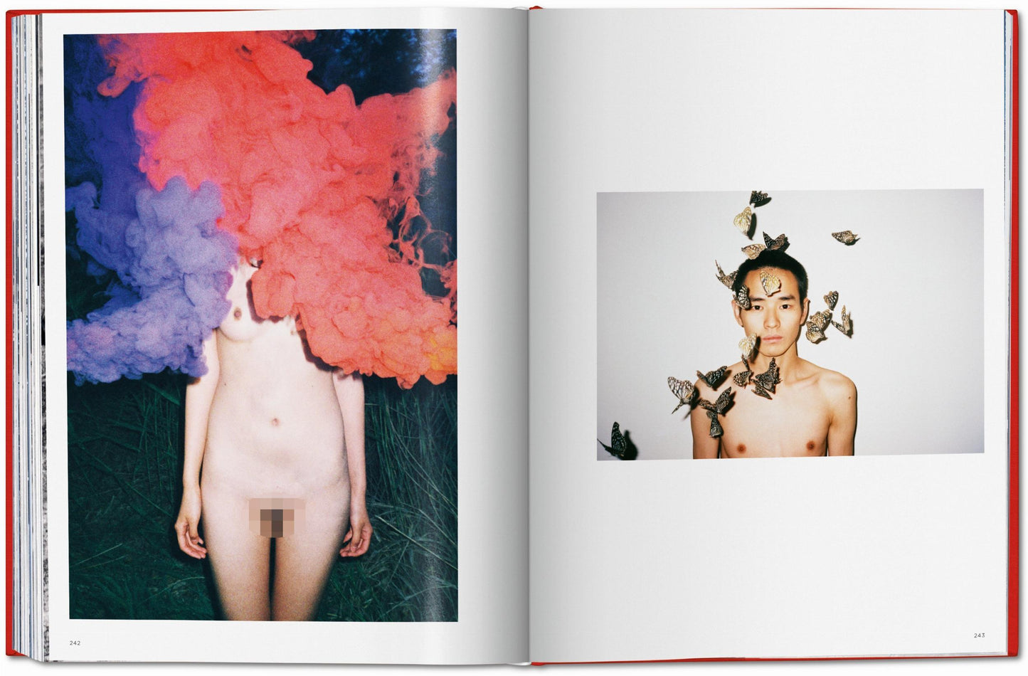 Ren Hang (German, French, English)