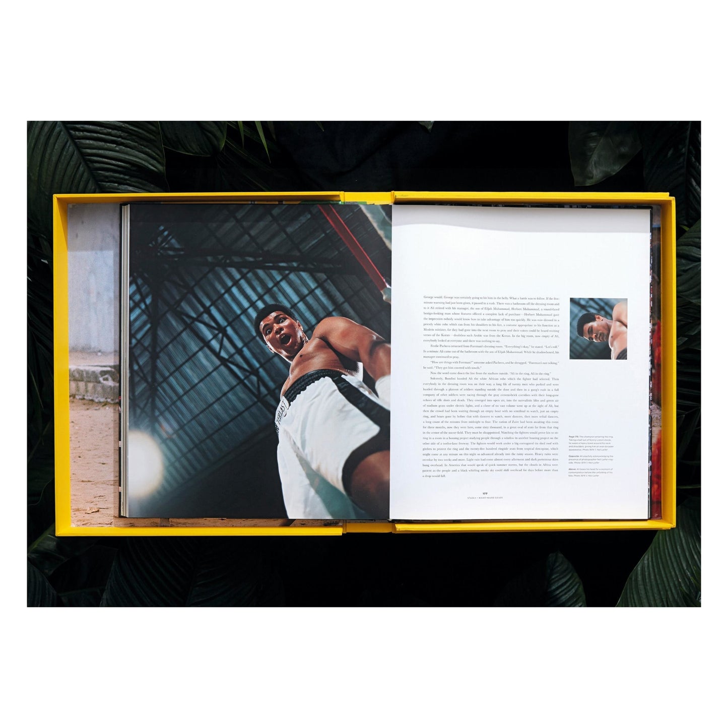 Norman Mailer. N.Leifer. H.Bingham. The Fight, Art Edition No. 1–125, Neil Leifer ‘Ali vs. Foreman – Ali Glaring at Foreman’ (English) (AP)