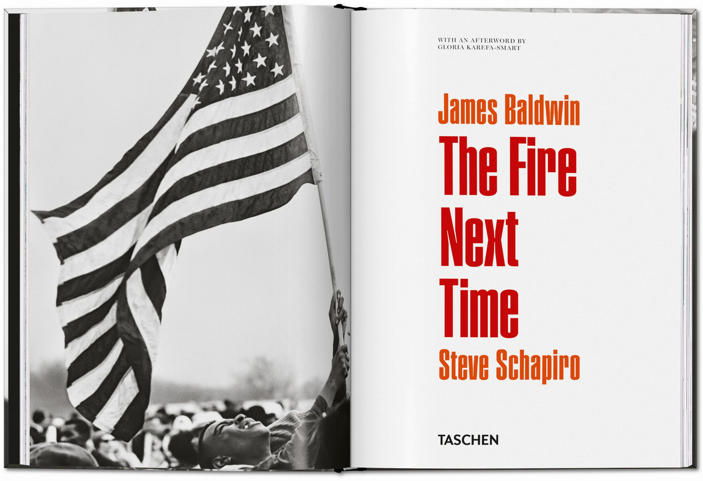 James Baldwin. Steve Schapiro. The Fire Next Time (English)