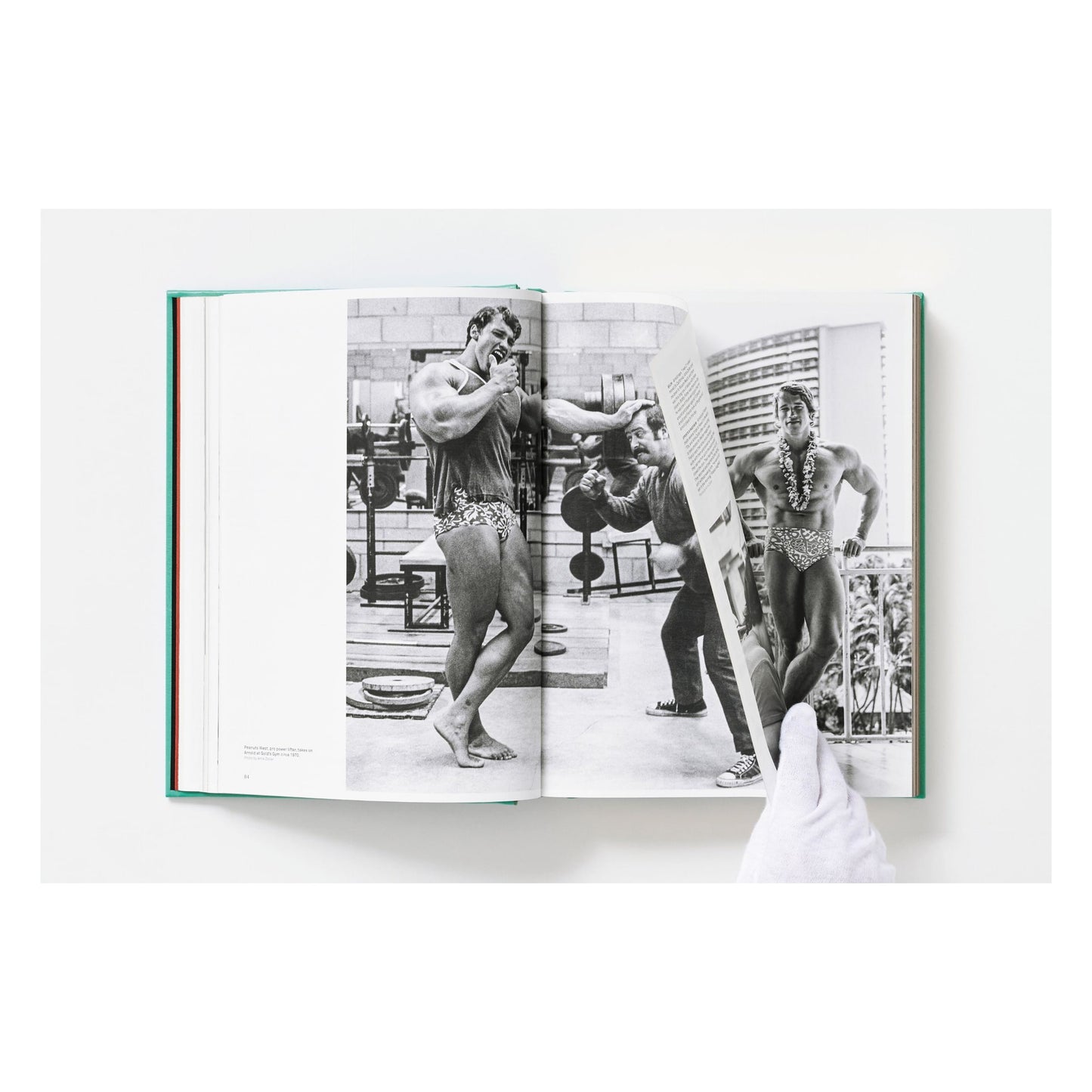 ARNOLD. Collector’s Edition (English)