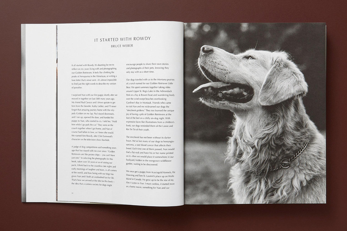 Bruce Weber. The Golden Retriever Photographic Society. Art Edition No. 1–100 ‘Little Bear Ranch, Montana, 1996’ (German, French, English) (SA)