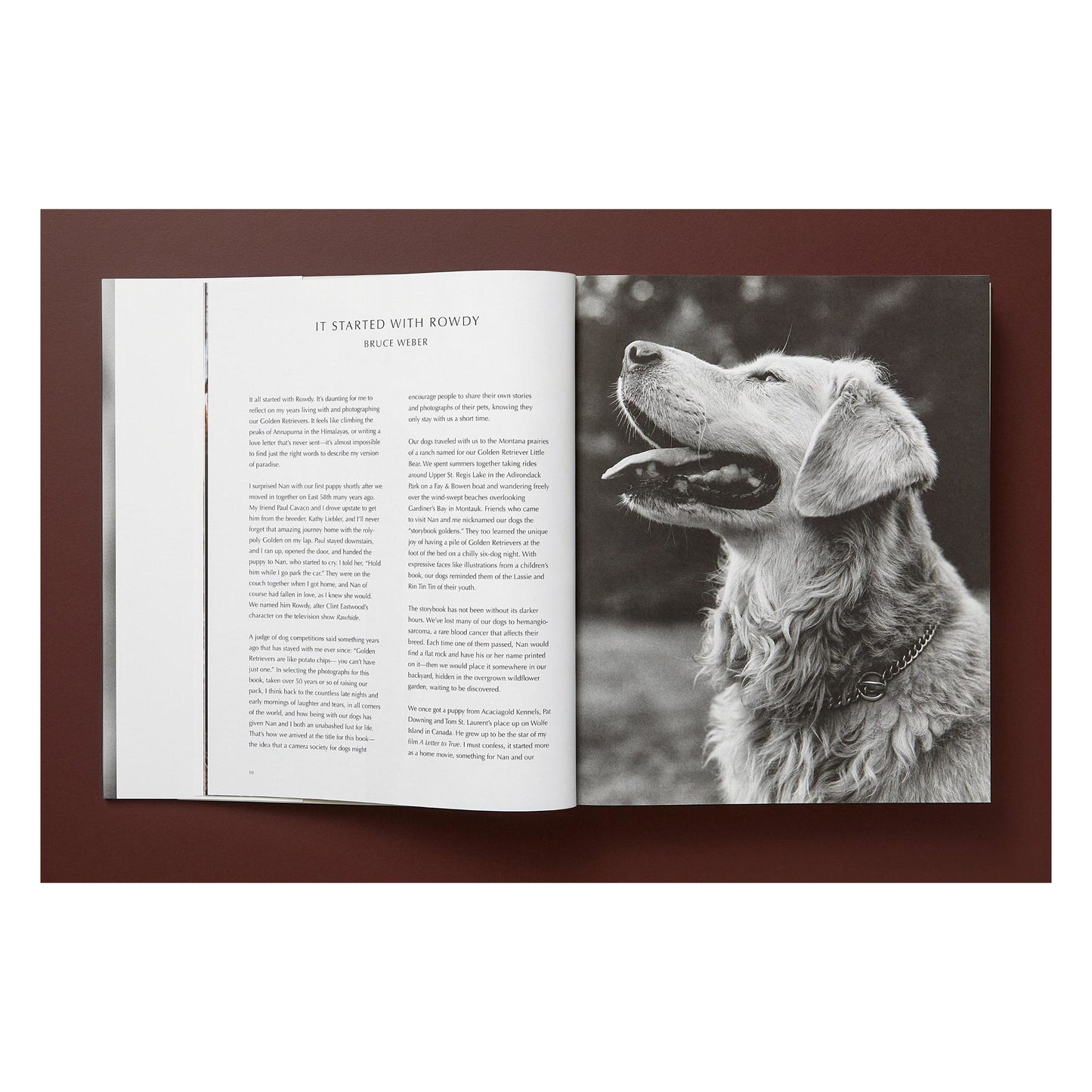 Bruce Weber. The Golden Retriever Photographic Society (German, French, English)