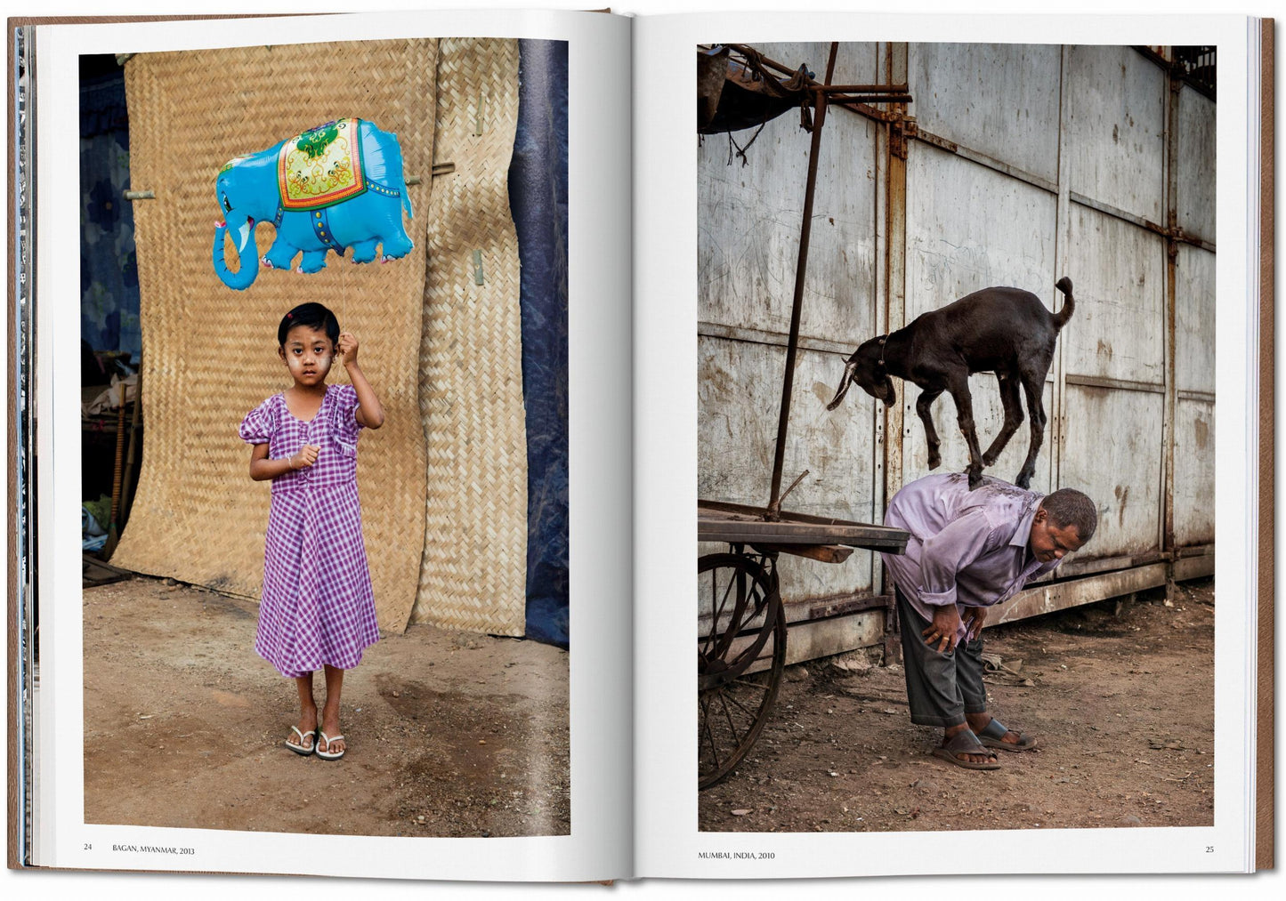 McCurry, Animals, Art A (German, French, English) (SA)