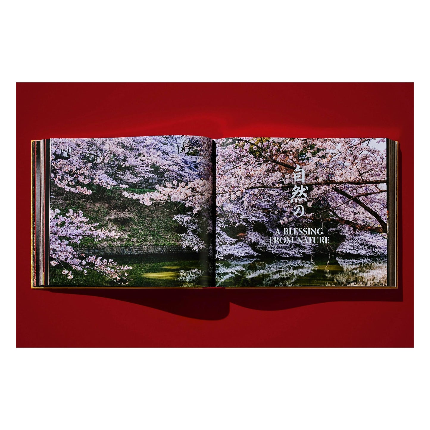 Yoshihiro Narisawa. Satoyama Cuisine (English)