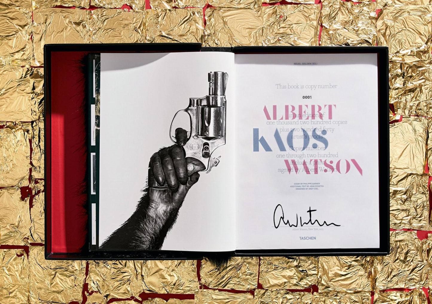 Albert Watson. Kaos (German, French, English) (SA)