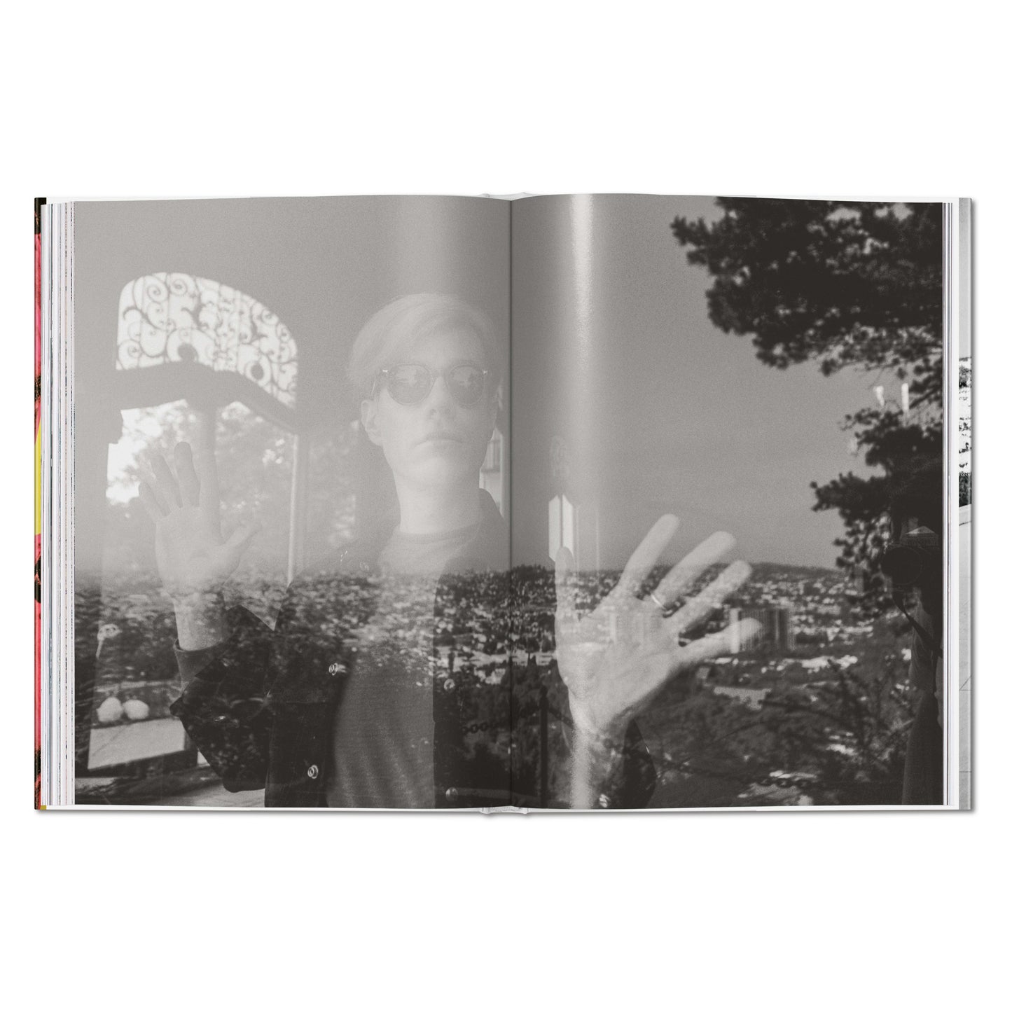Steve Schapiro. Andy Warhol and Friends (English)