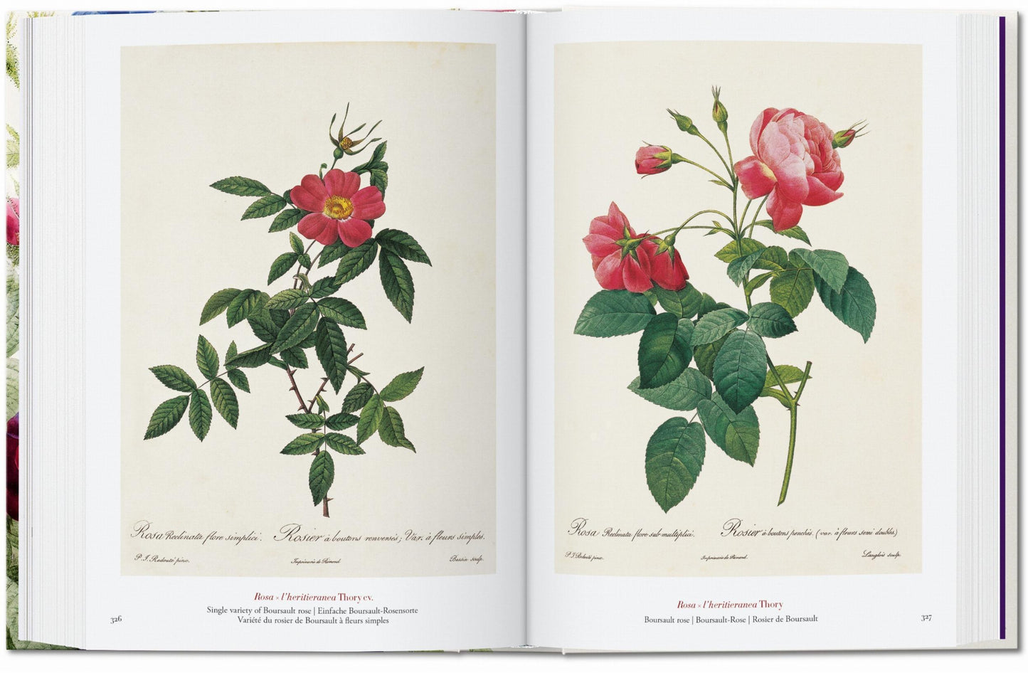 Redouté. The Book of Flowers. 40th Ed. (German, French, English)