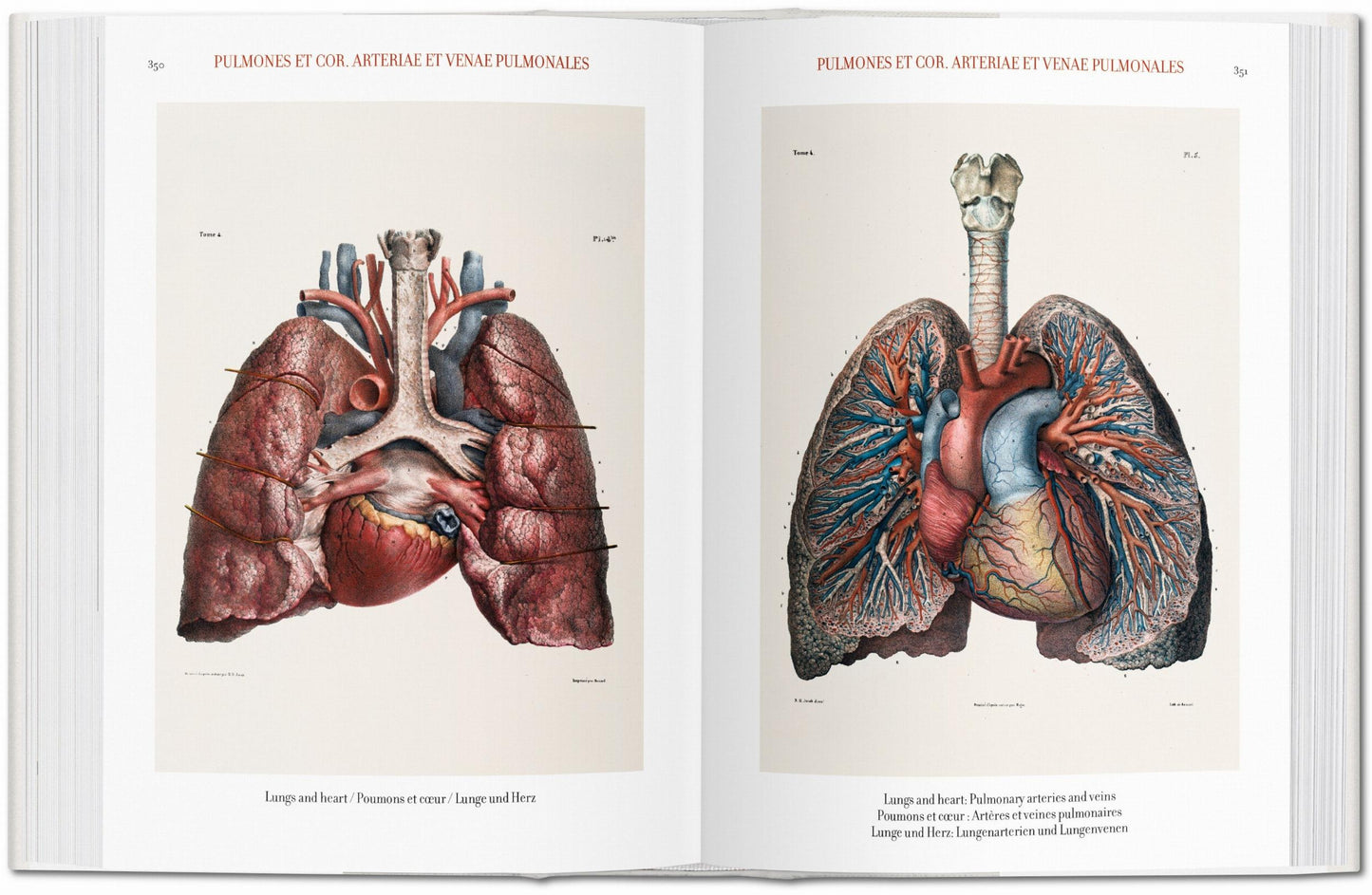 Bourgery. Atlas of Human Anatomy and Surgery (German, French, English)