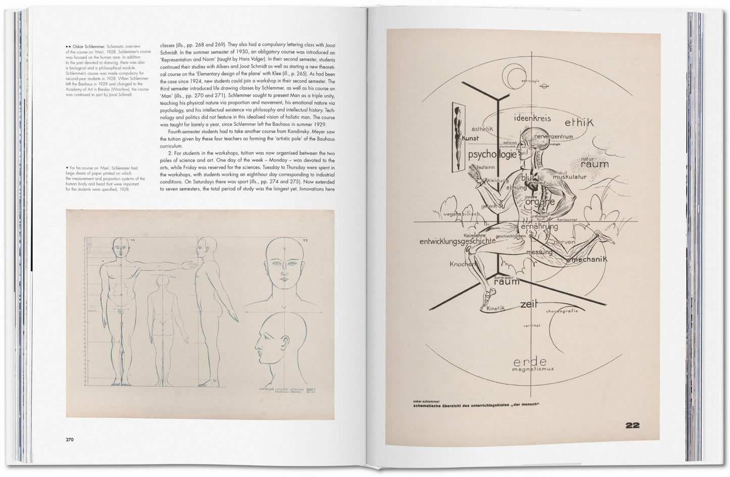 Bauhaus. Updated Edition (English)