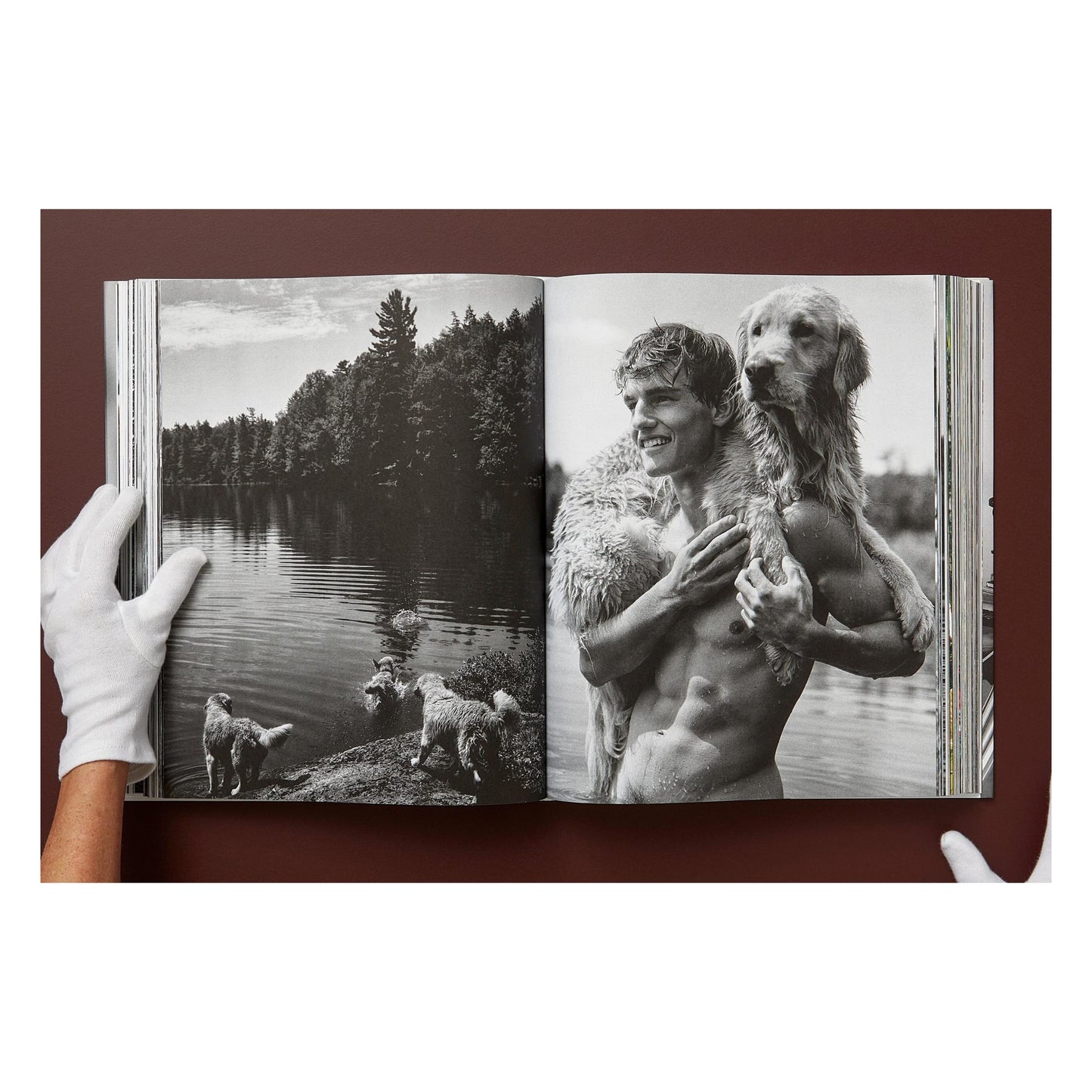 Bruce Weber. The Golden Retriever Photographic Society. Art Edition No. 1–100 ‘Little Bear Ranch, Montana, 1996’ (German, French, English)