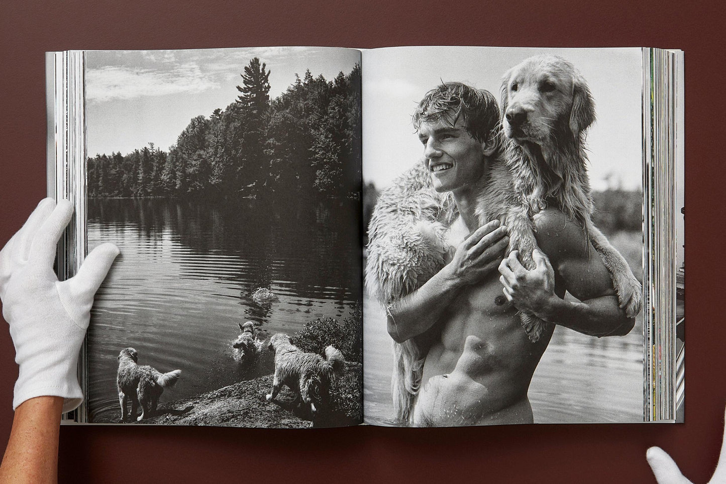 Bruce Weber. The Golden Retriever Photographic Society. Art Edition No. 1–100 ‘Little Bear Ranch, Montana, 1996’ (German, French, English) (AP)