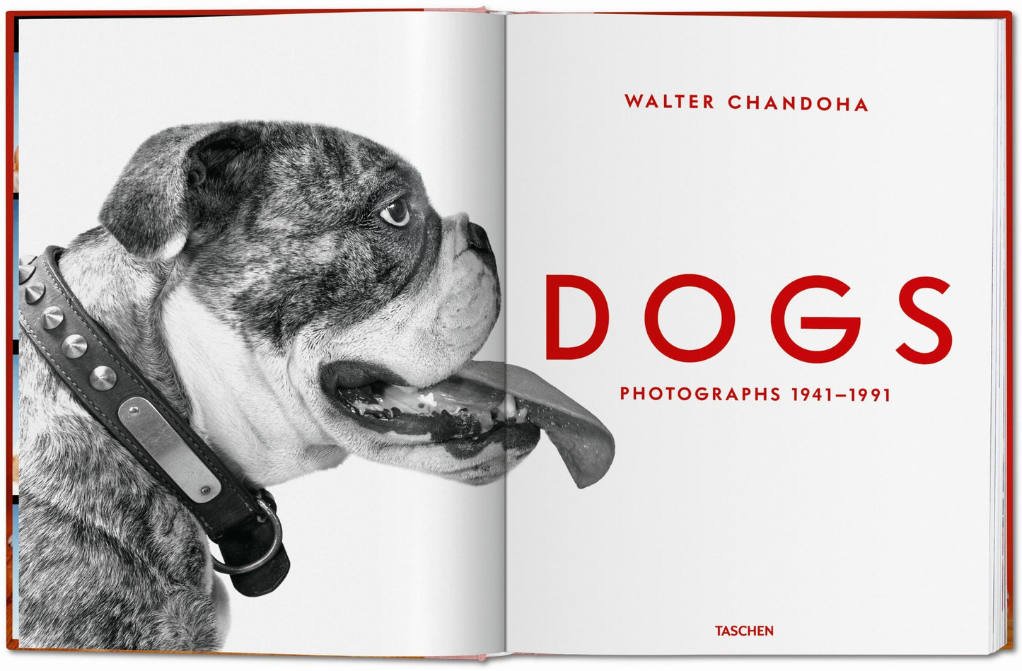 Walter Chandoha. Dogs. Photographs 1941–1991 (German, French, English)