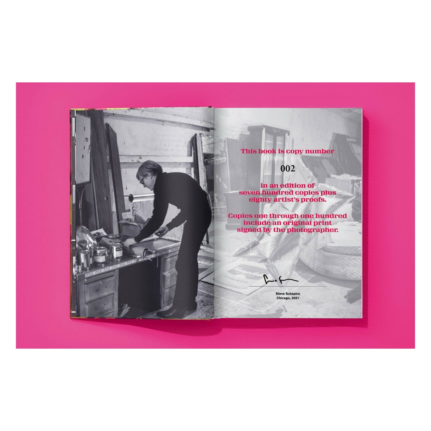 Steve Schapiro. Andy Warhol and Friends (English)