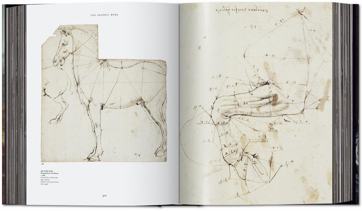 Léonard de Vinci. Tout l'œuvre peint et graphique (French)