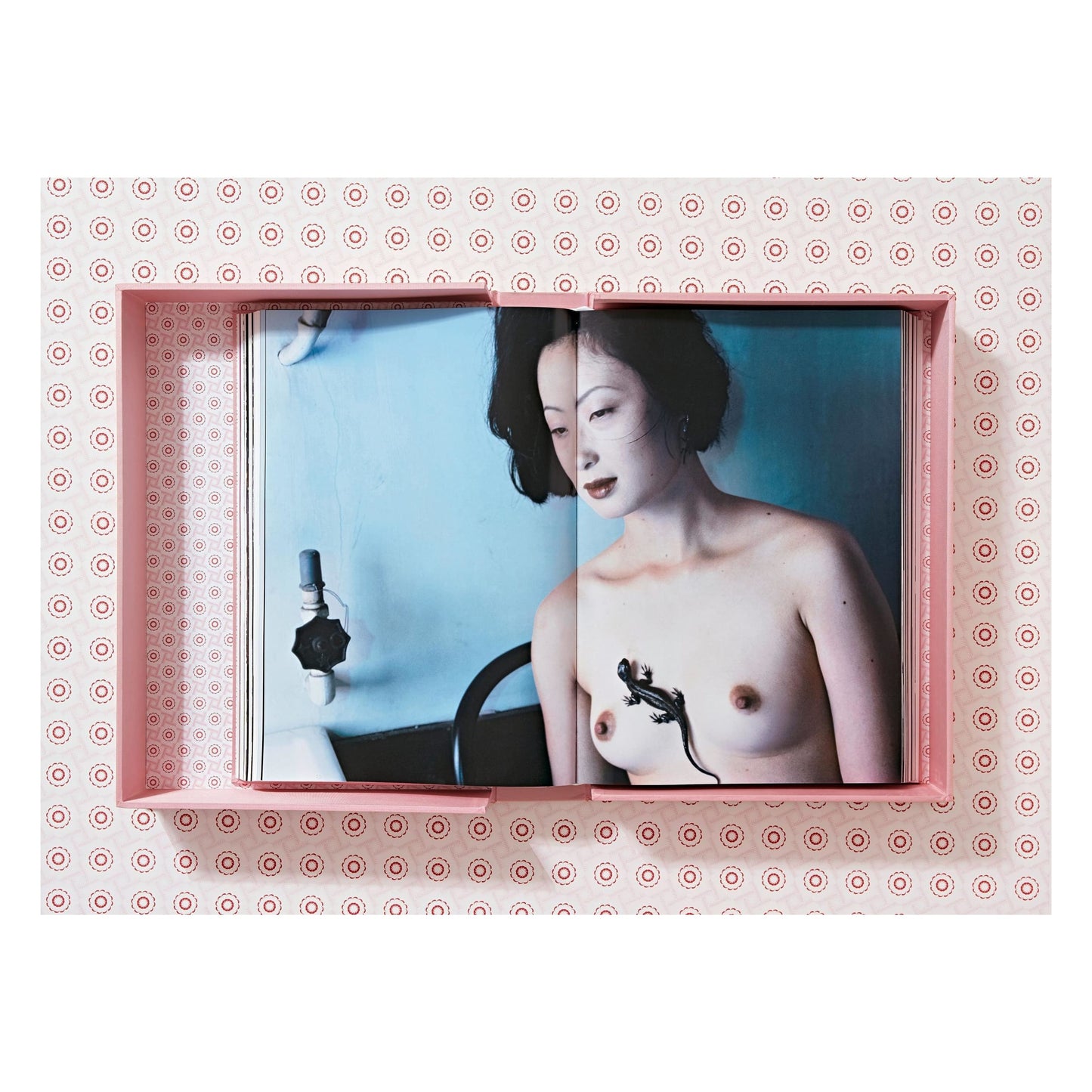 Araki (German, French, English) (AP)