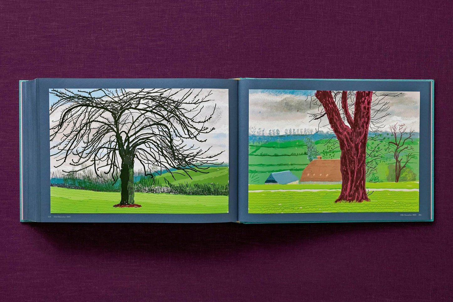 David Hockney. 220 for 2020. Art Edition No. 201–300 ‘Two Chairs and Rain on Window’ (English)