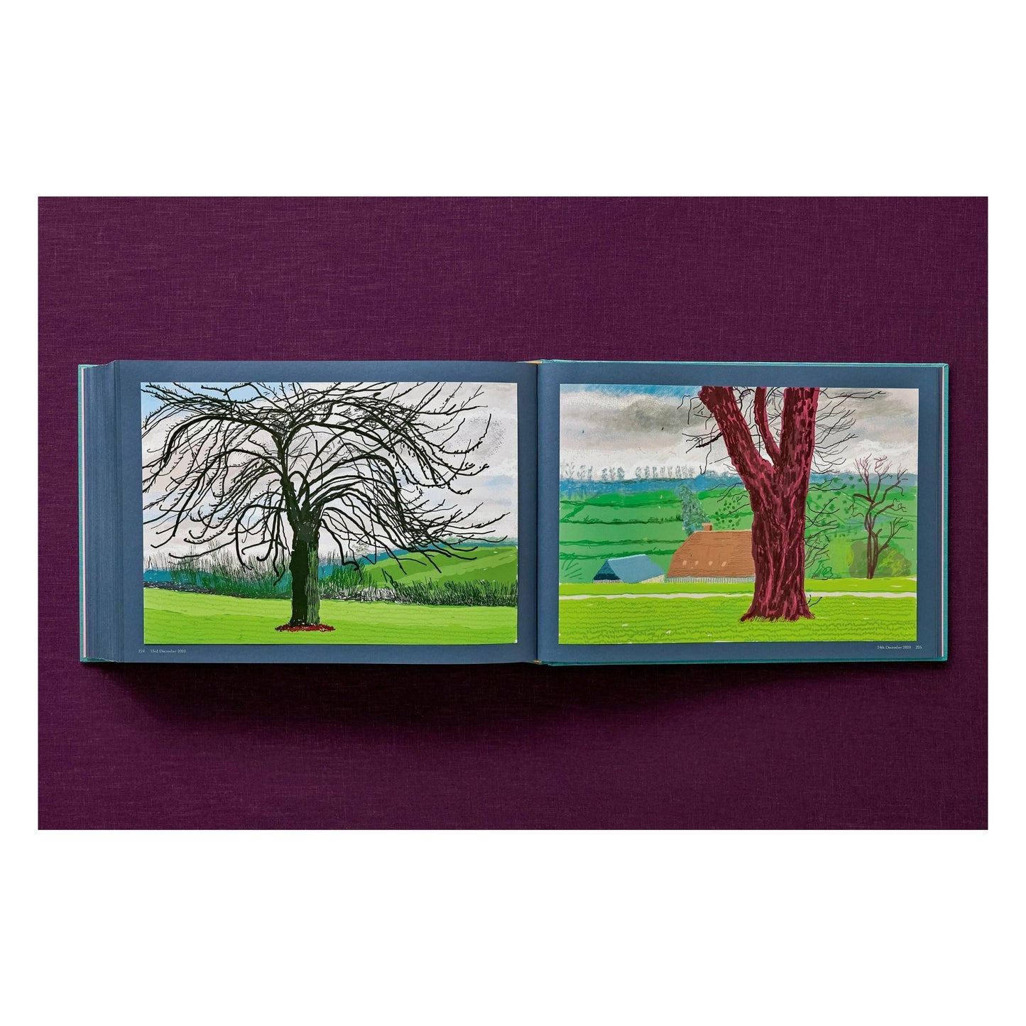 David Hockney. 220 for 2020. Art Edition No. 1–100 ‘Spilt Ink with Tests’ (English) (AP)