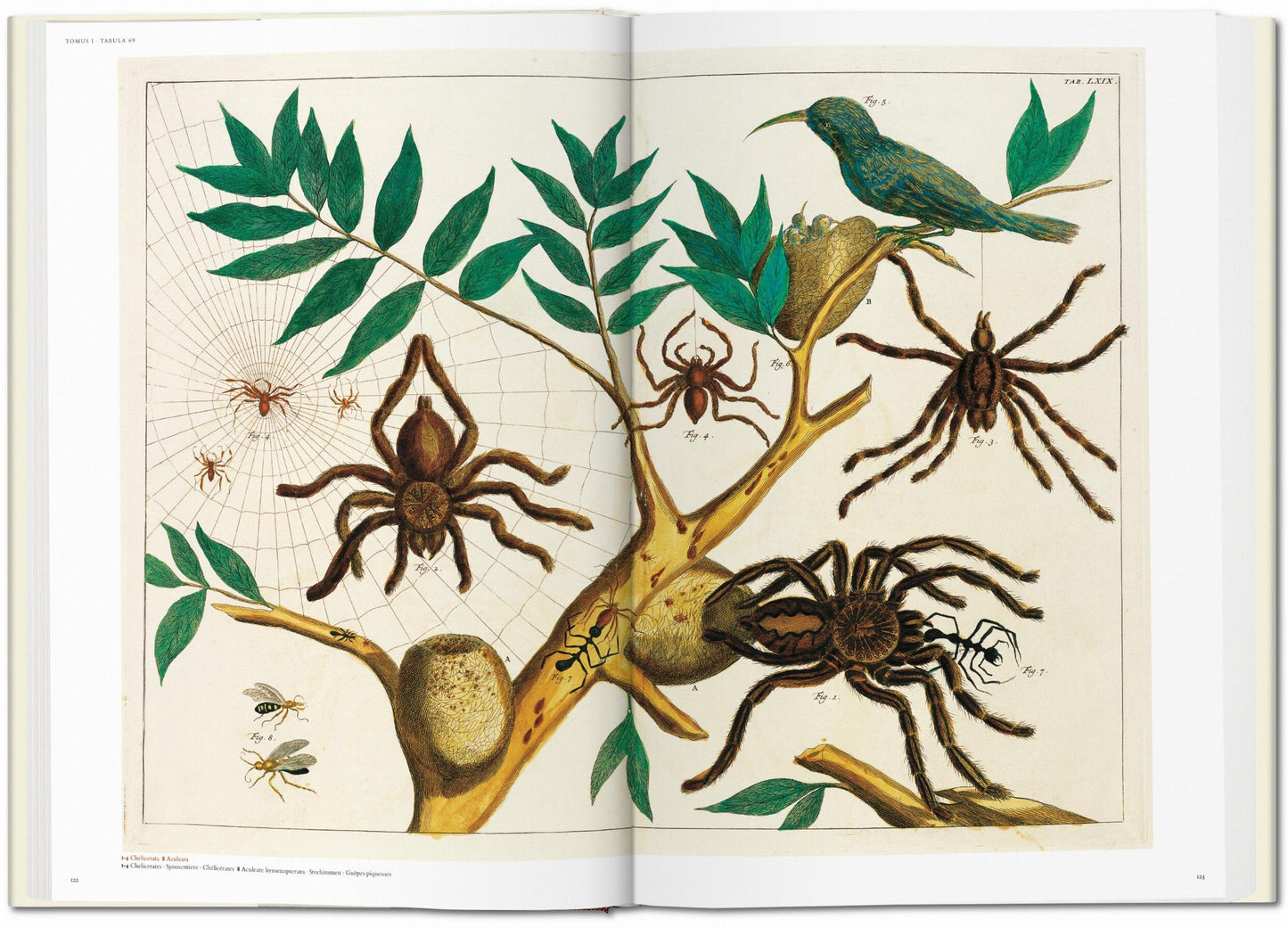 Seba. Cabinet of Natural Curiosities (German, French, English)