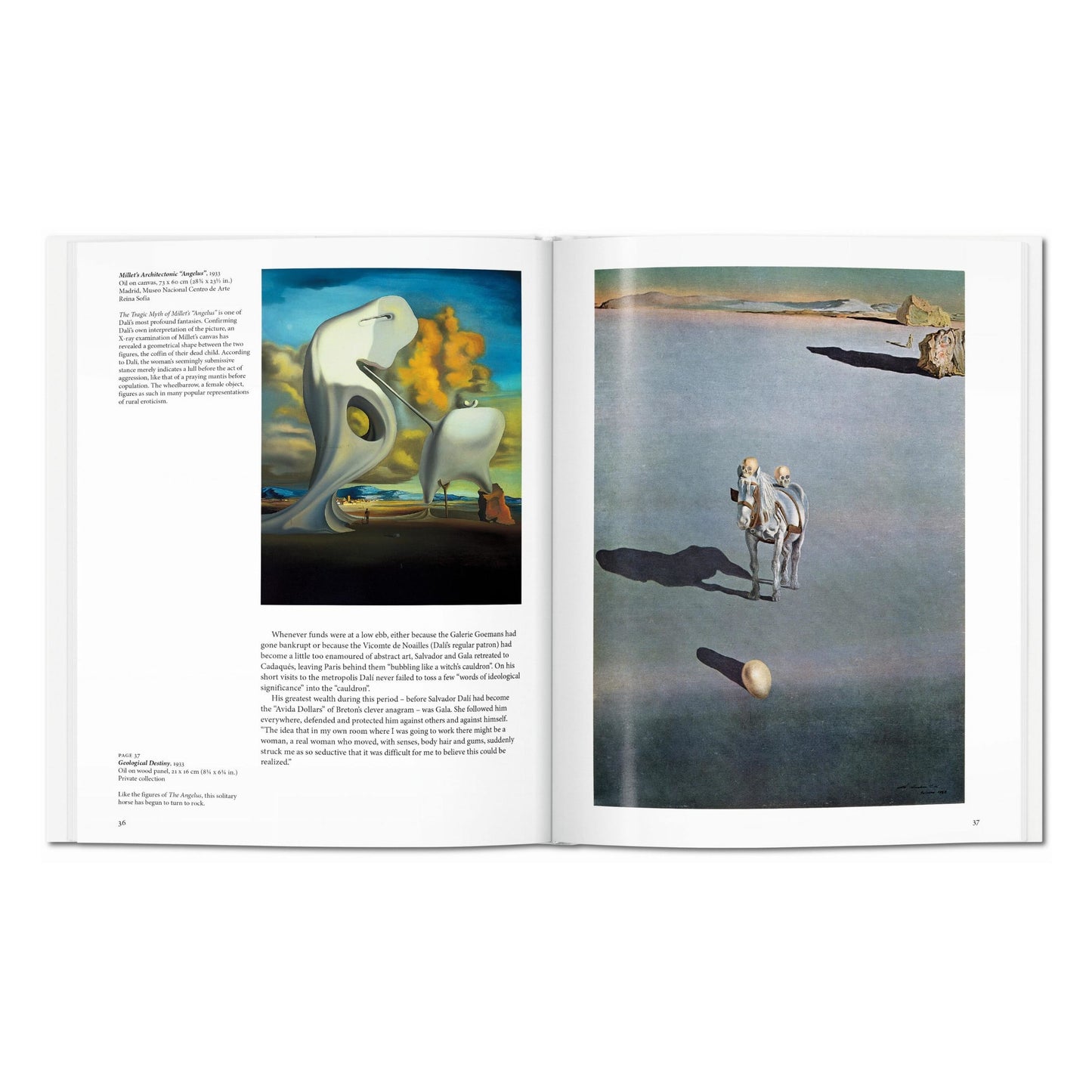 Dalí (English)