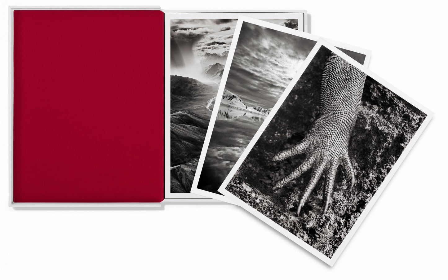 Sebastião Salgado. Genesis. Postcard Set (German, Spanish, French, English)