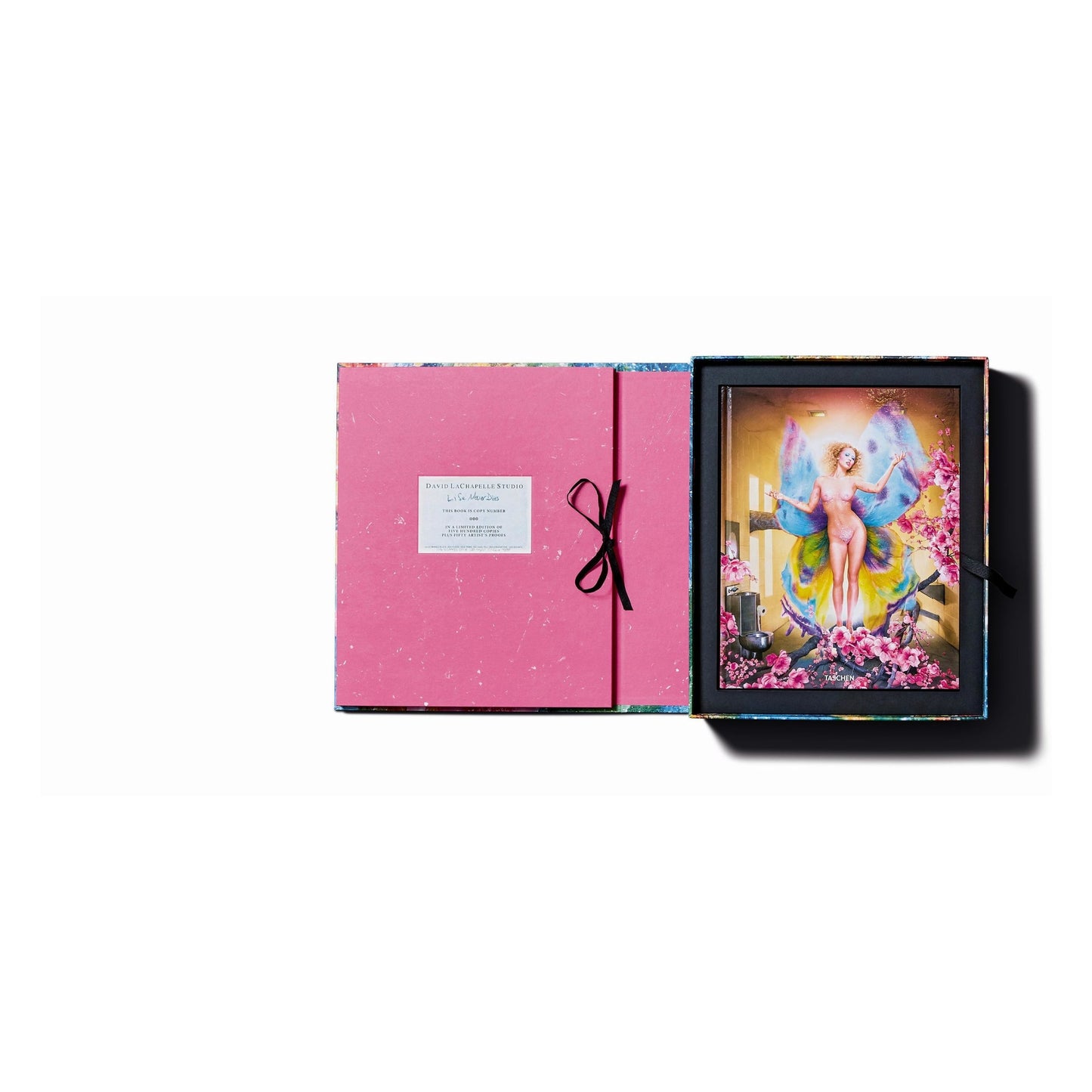 David LaChapelle. Lost and Found – Good News, Art Edition (German, French, English) (AP)