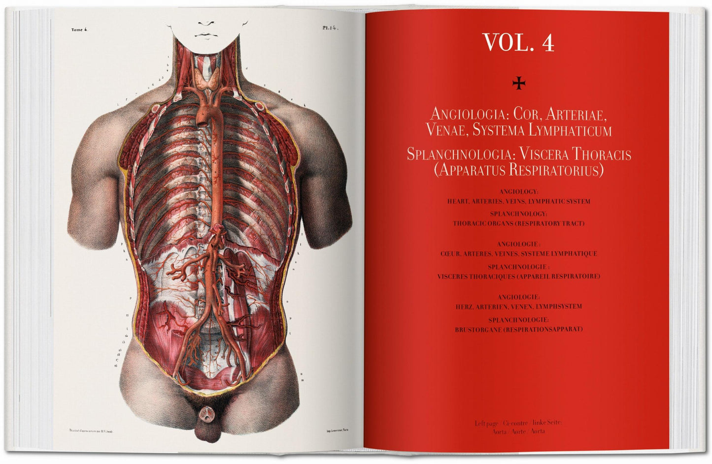 Bourgery. Atlas of Human Anatomy and Surgery (German, French, English)