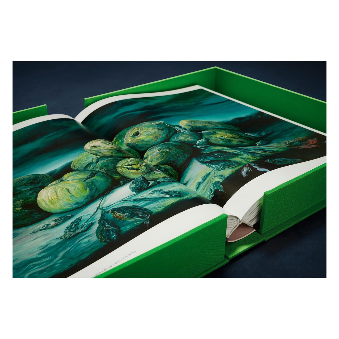 Glenn Brown. Art Edition No. 13–112. ‘Sizewell A’ (German, French, English) (SA)