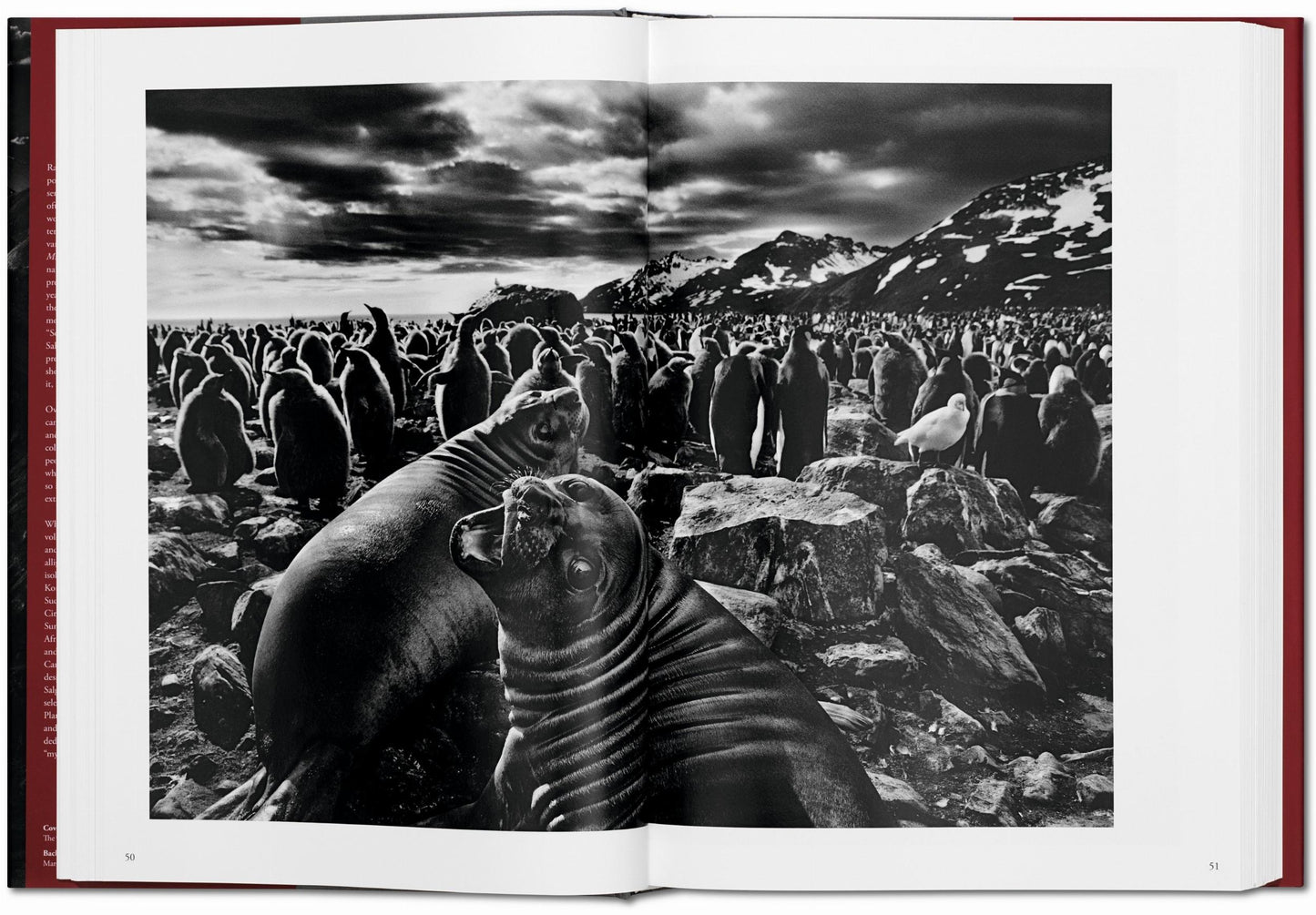 Sebastião Salgado. Genesis (English)