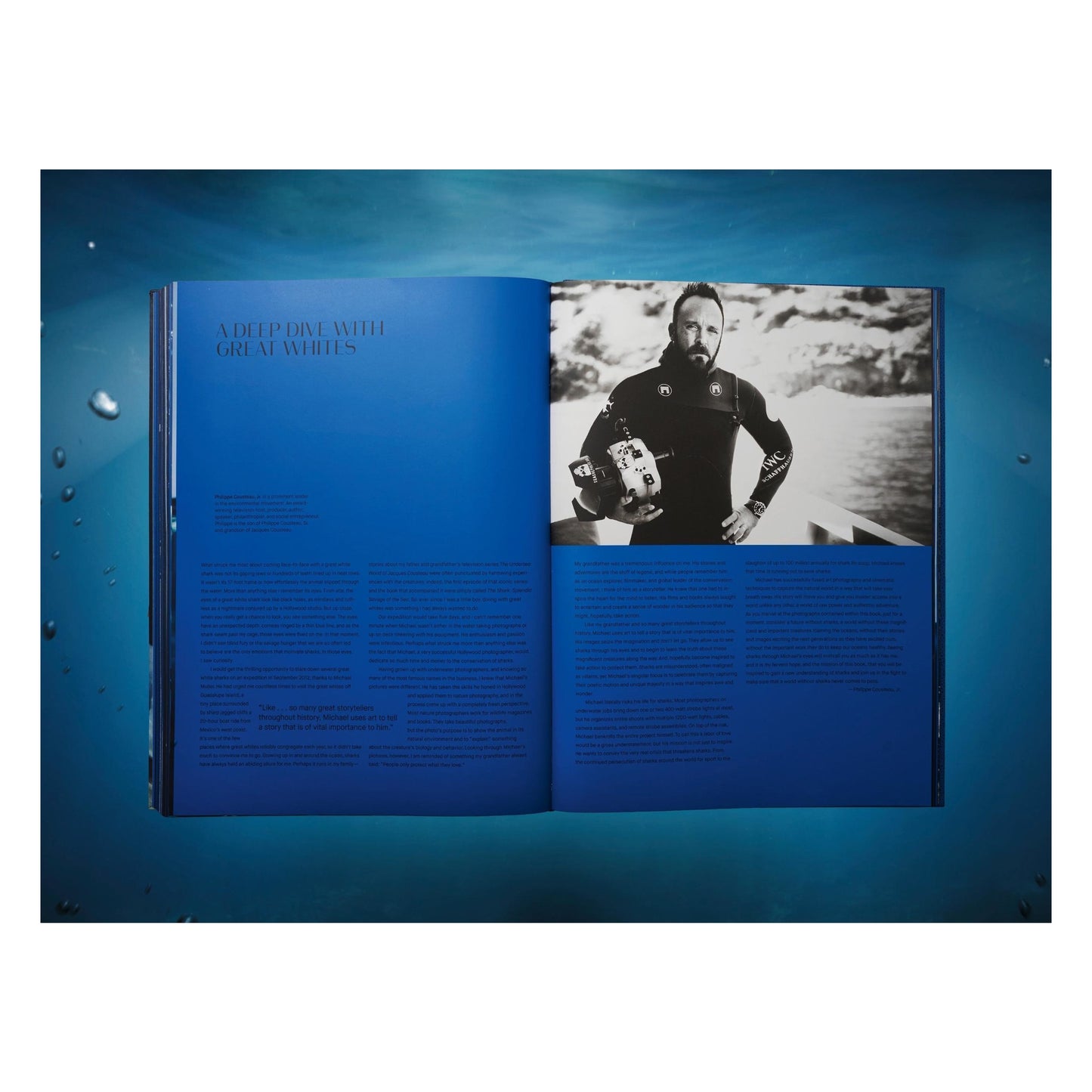 Michael Muller. Sharks, Art Edition No. 101–200 ‘Under Study’ (English) (AP)